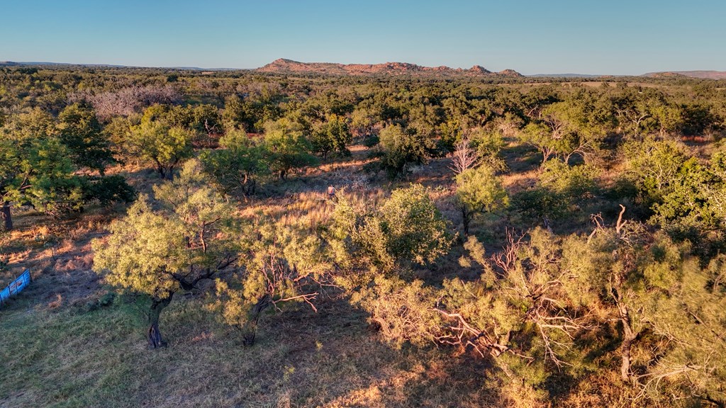 18248 Bode Peak Road Pontotoc, TX 76869 - Photo 5 of 17