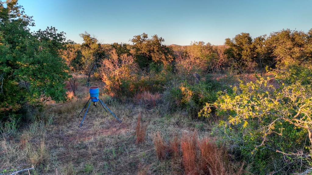18248 Bode Peak Road Pontotoc, TX 76869 - Photo 8 of 17 a view of a yard with a tree