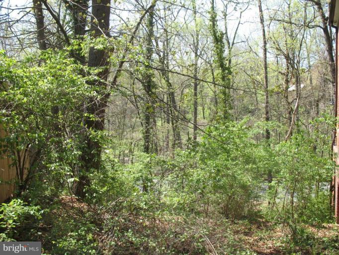 8718 Manchester Road, Unit 2 Silver Spring, MD 20901 - Photo 14 of 15 Surrounded by Sligo Creek Park
