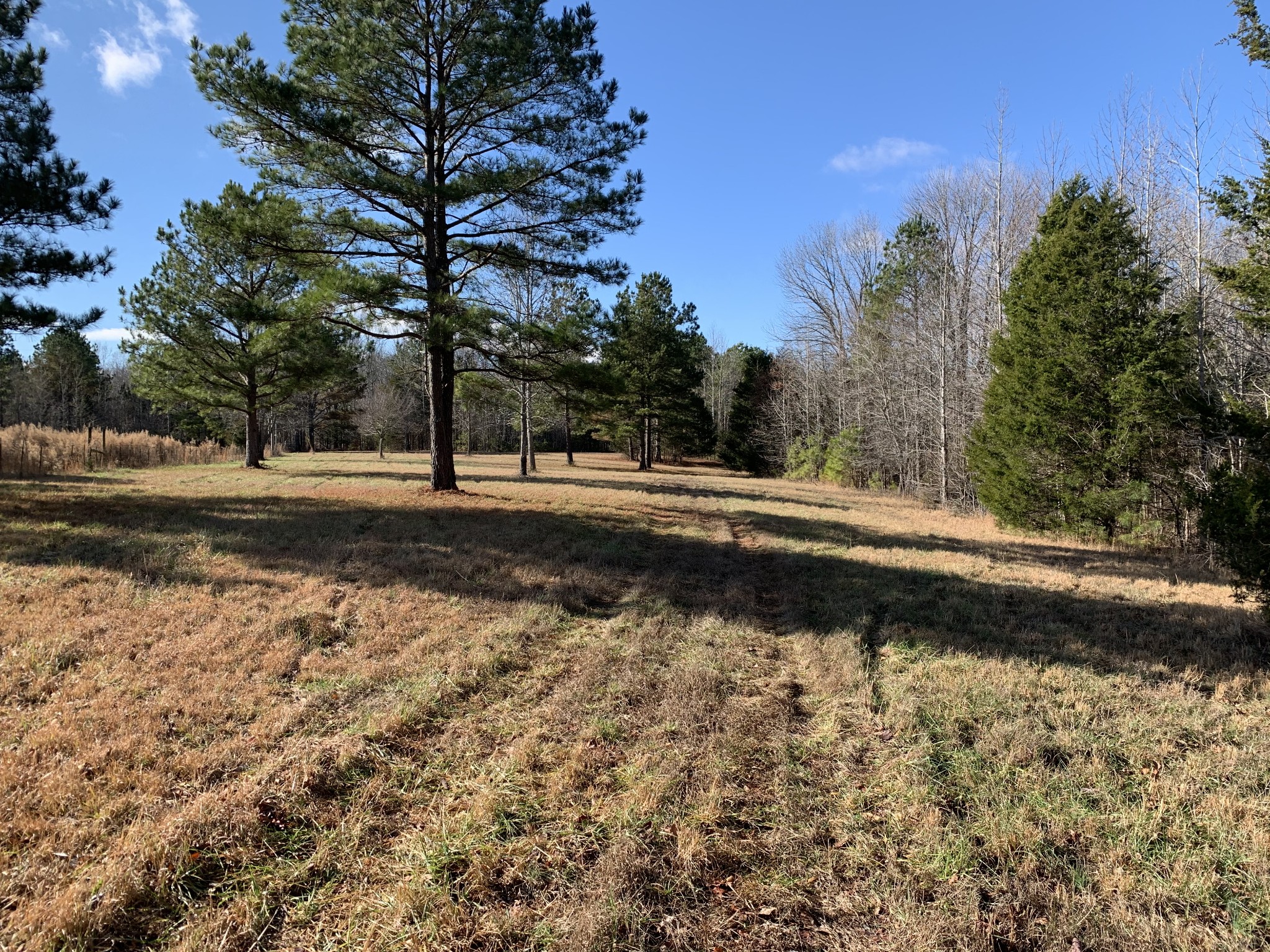2624 Agnew Road Pulaski, TN 38478 - Photo 27 of 46