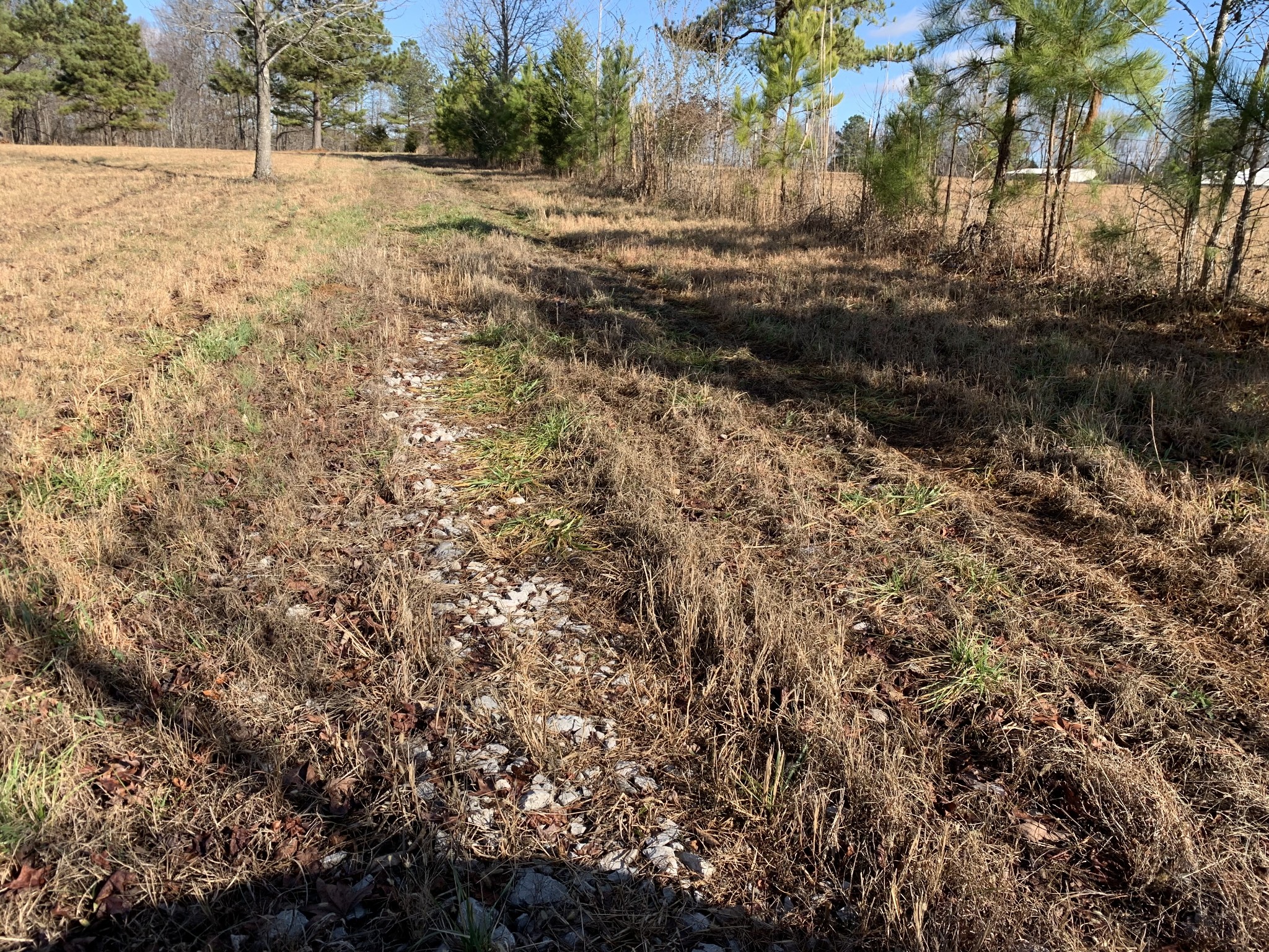 2624 Agnew Road Pulaski, TN 38478 - Photo 28 of 46