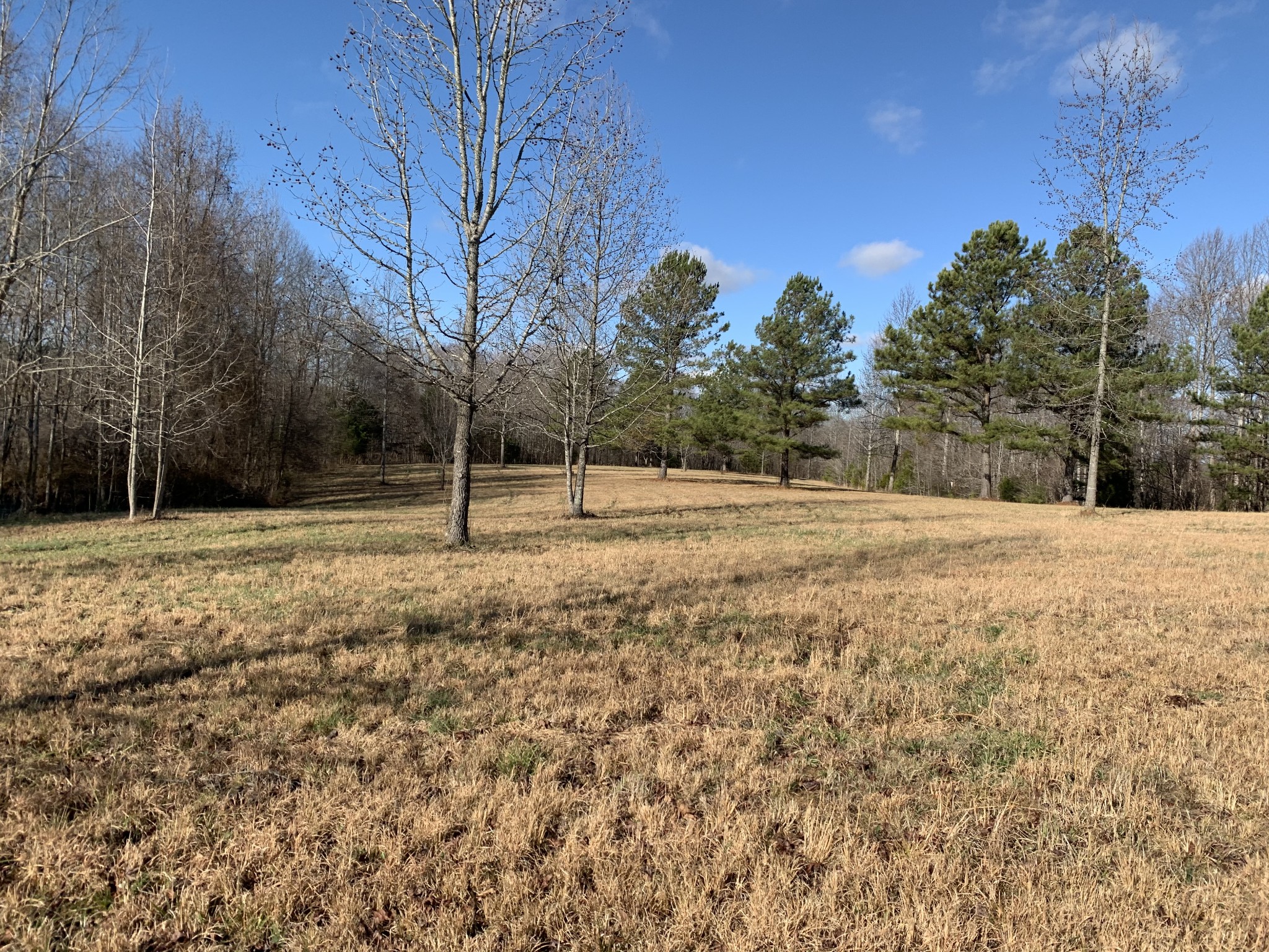 2624 Agnew Road Pulaski, TN 38478 - Photo 30 of 46