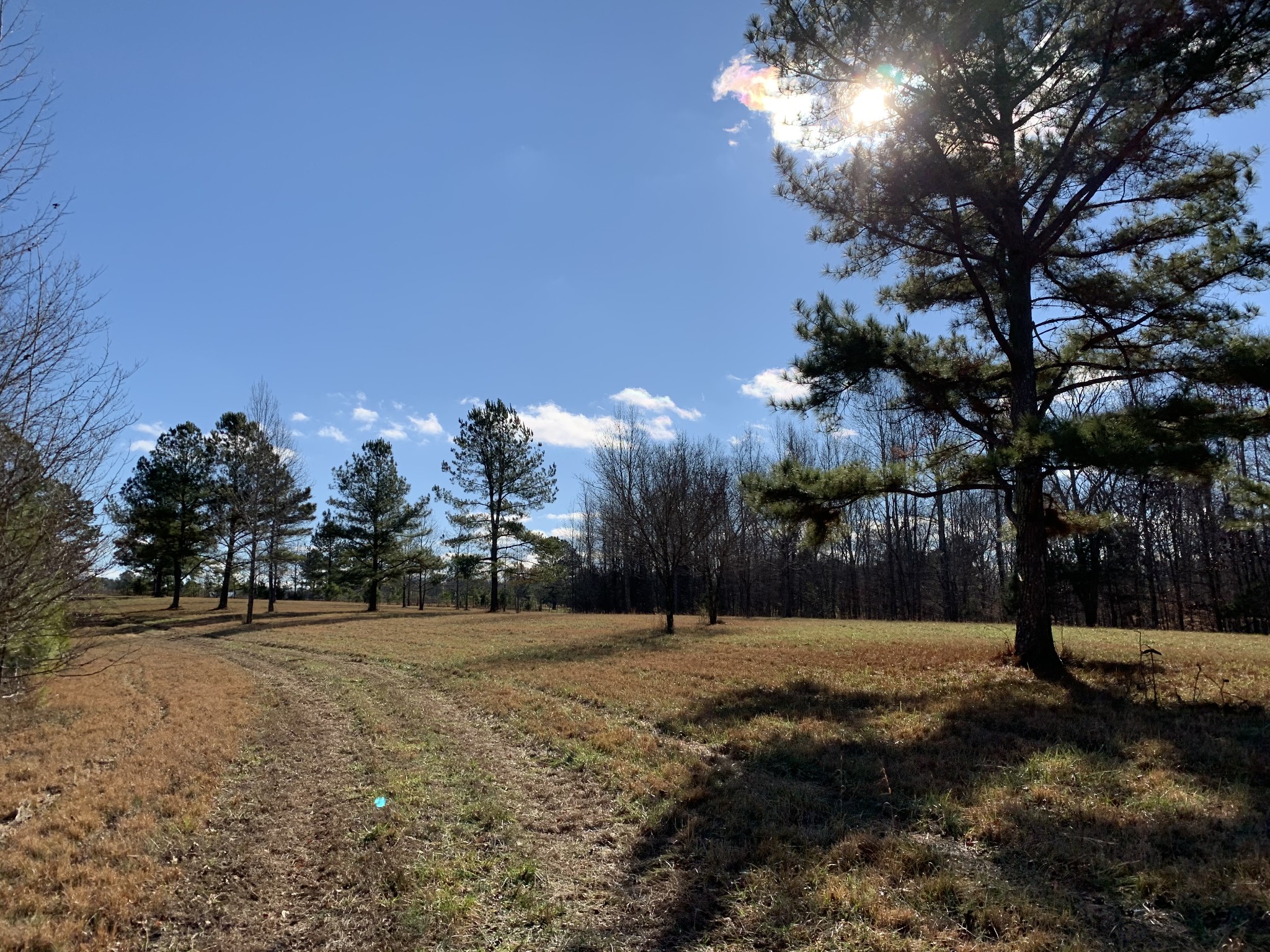 2624 Agnew Road Pulaski, TN 38478 - Photo 32 of 46