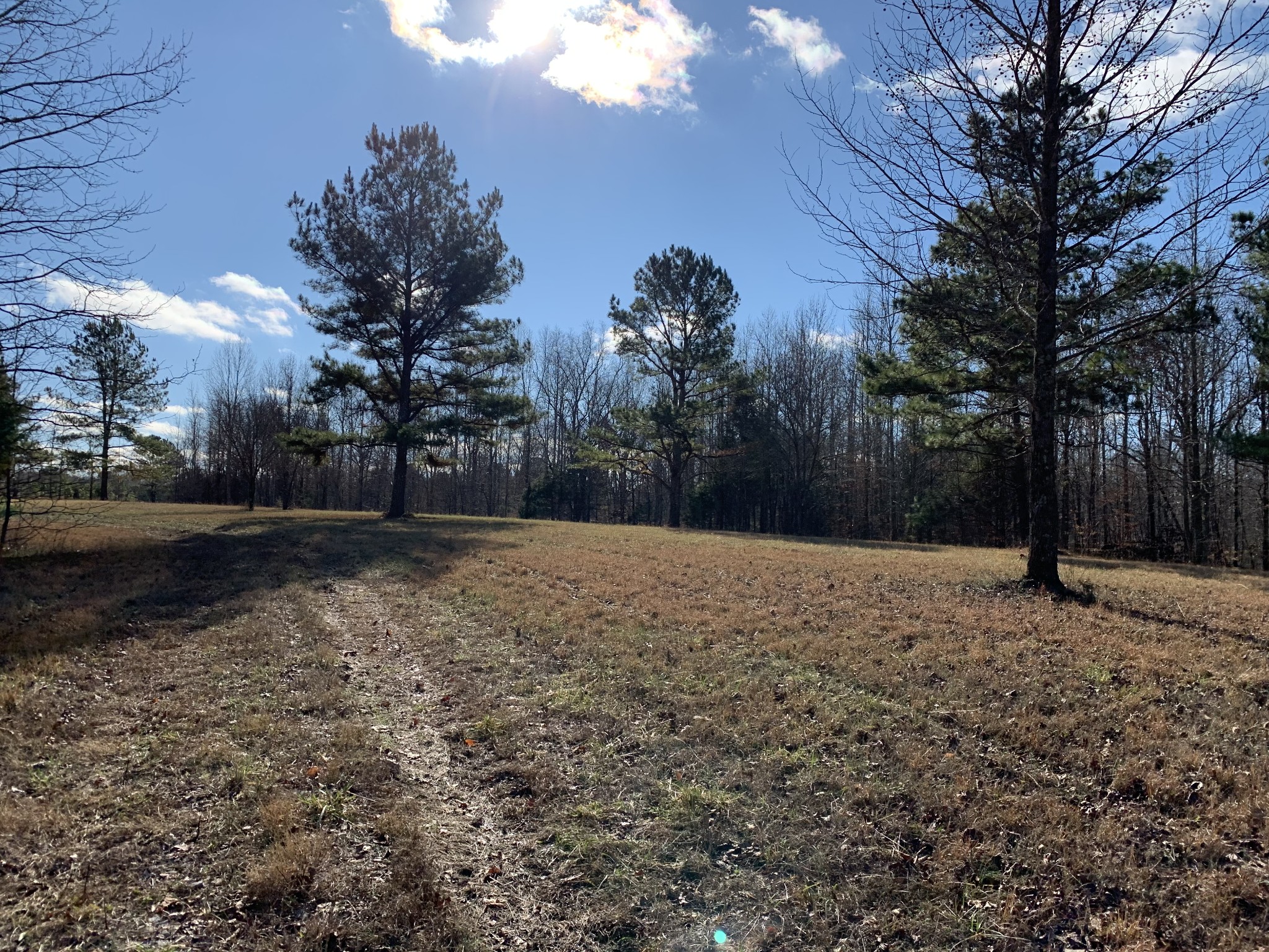 2624 Agnew Road Pulaski, TN 38478 - Photo 33 of 46