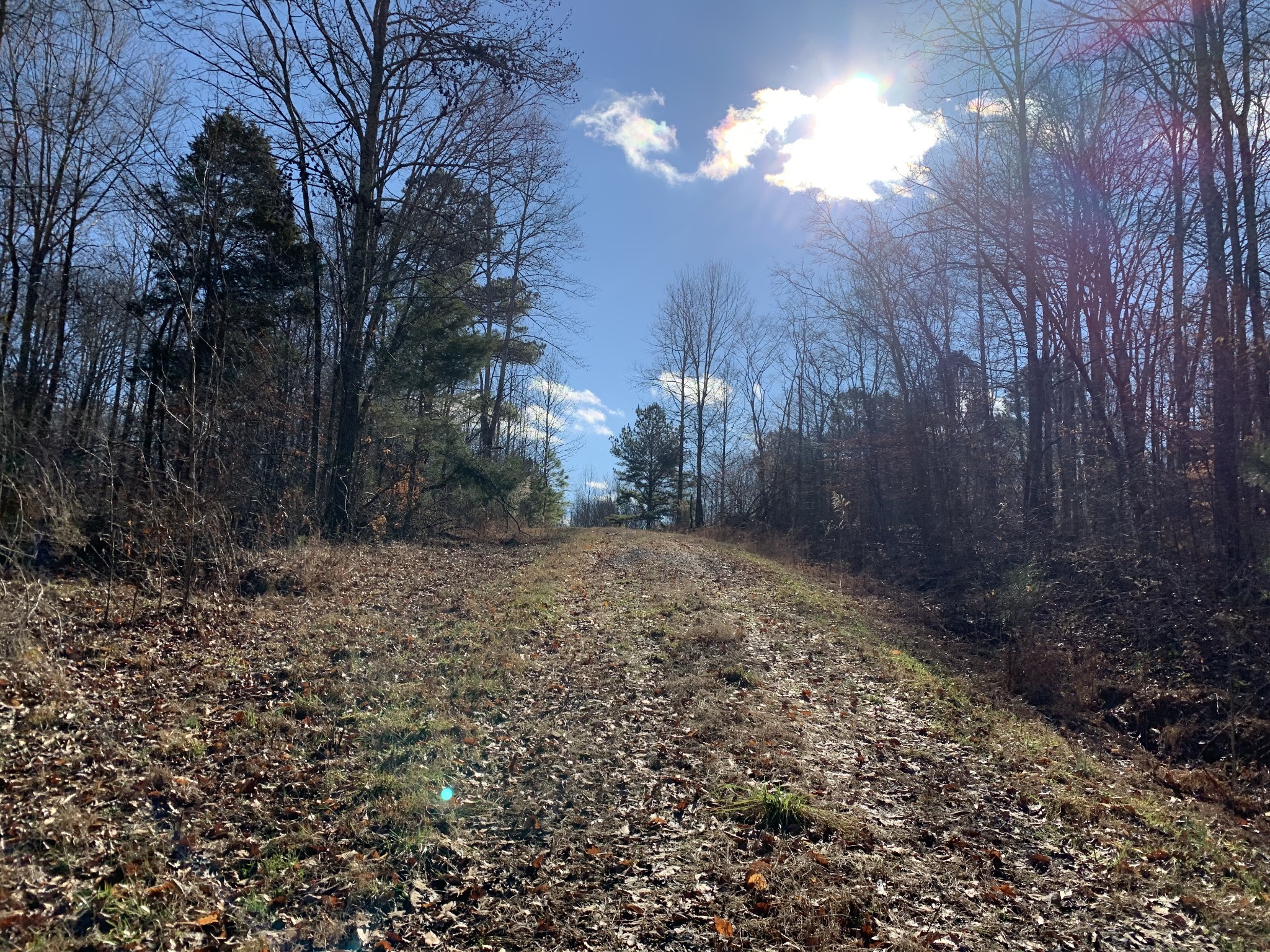 2624 Agnew Road Pulaski, TN 38478 - Photo 34 of 46