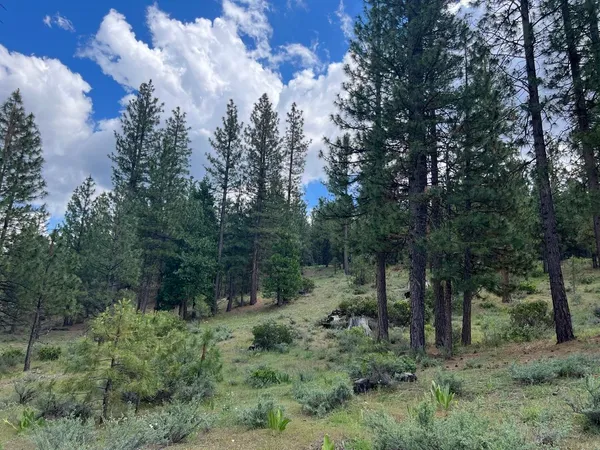 $68,000 | 629 Red Sky, Clio, CA 96106