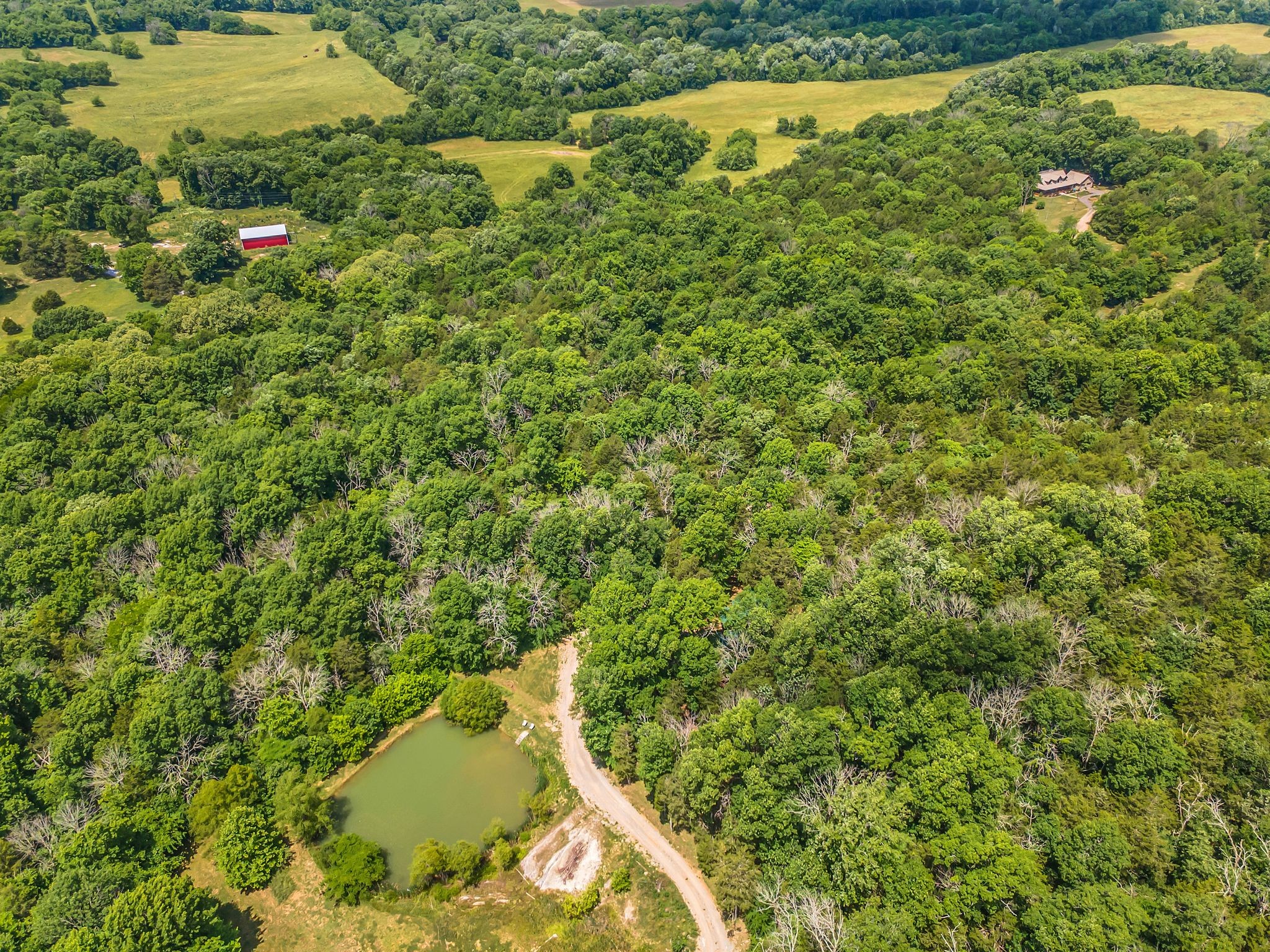 225 Kelso-Smithland Road, Unit TRACT 1 Kelso, TN 37348 - Photo 40 of 48