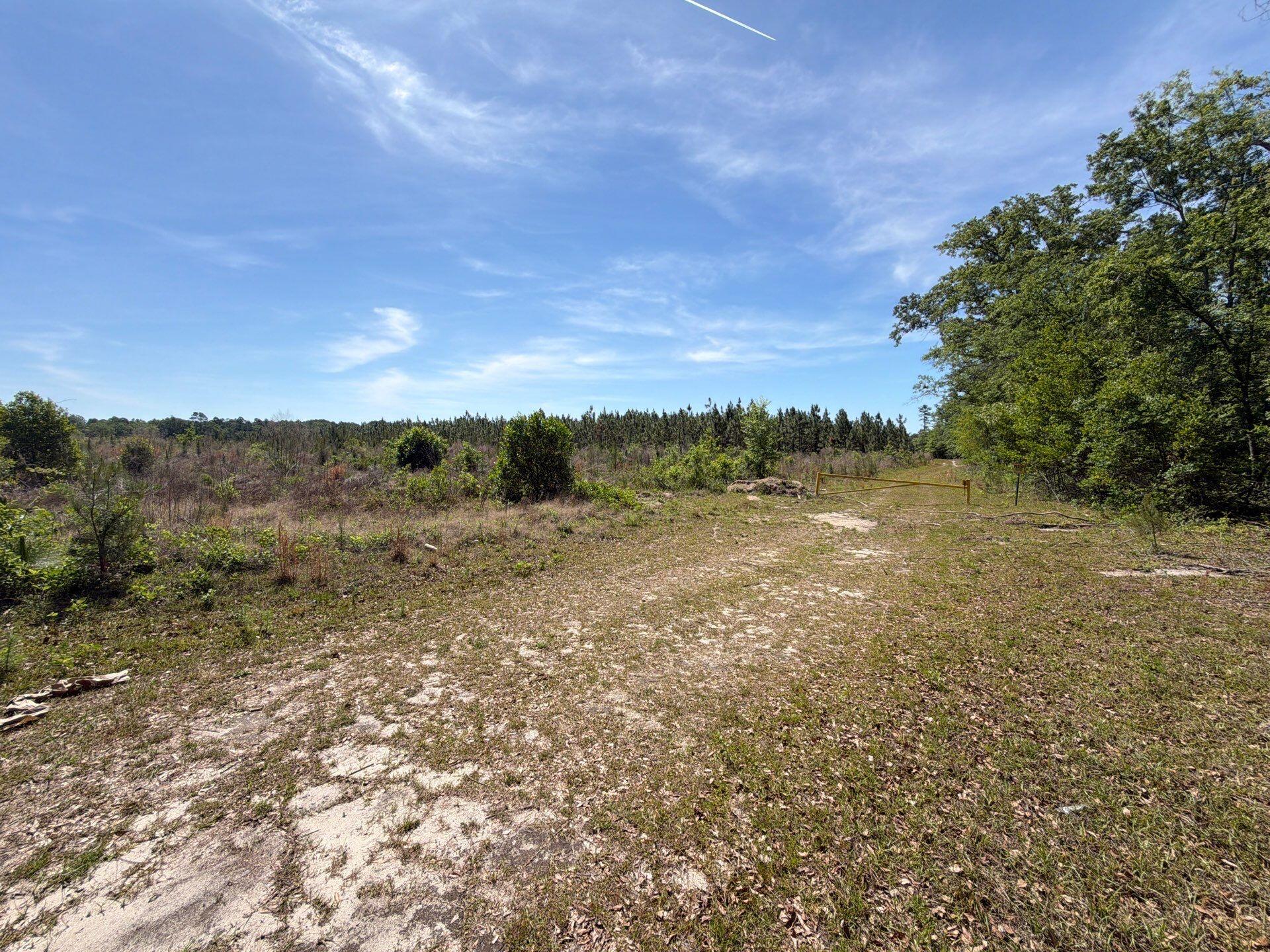 1 Holstein Road, Unit HRF 1 Wagener, SC 29164 - Photo 22 of 39
