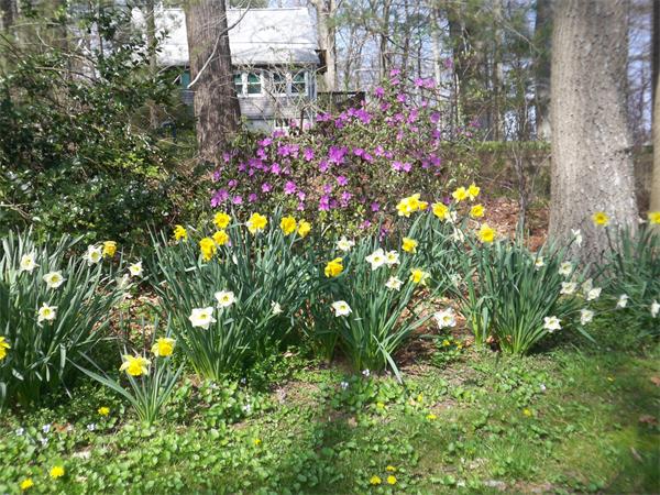26 Dunbar Road Lakeville, MA 02347 - Photo 20 of 20 Gallery Image 20