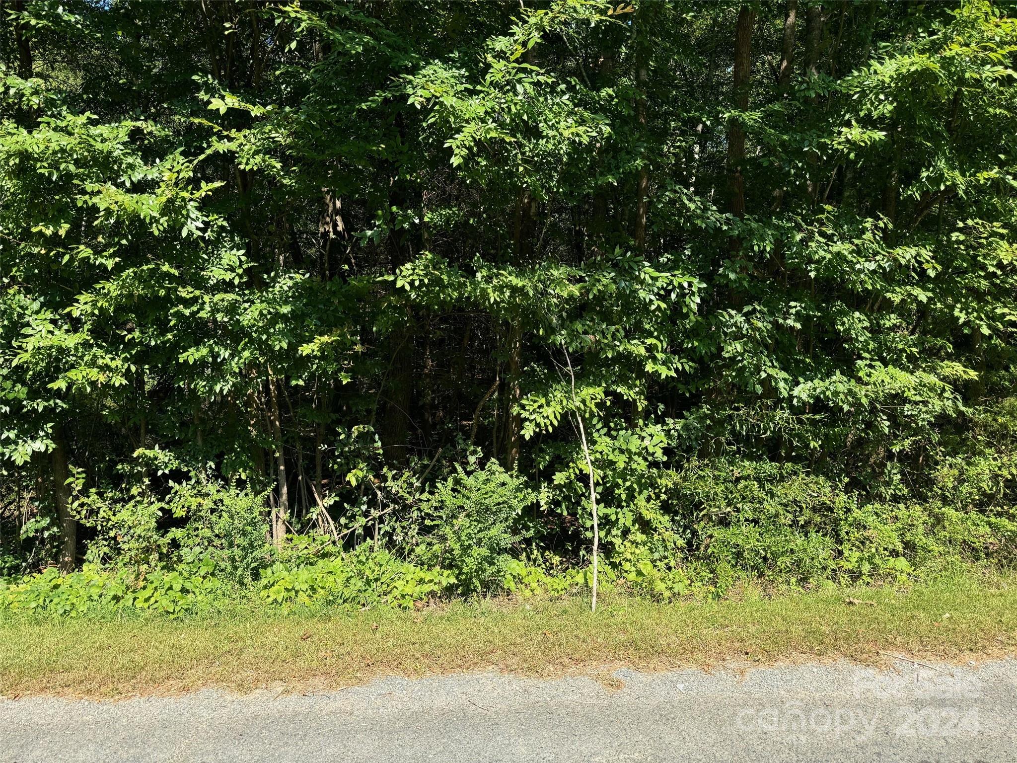 Lot 11 Jenkins Road Marshville, NC 28103 - Photo 1 of 6 Gallery Image 1