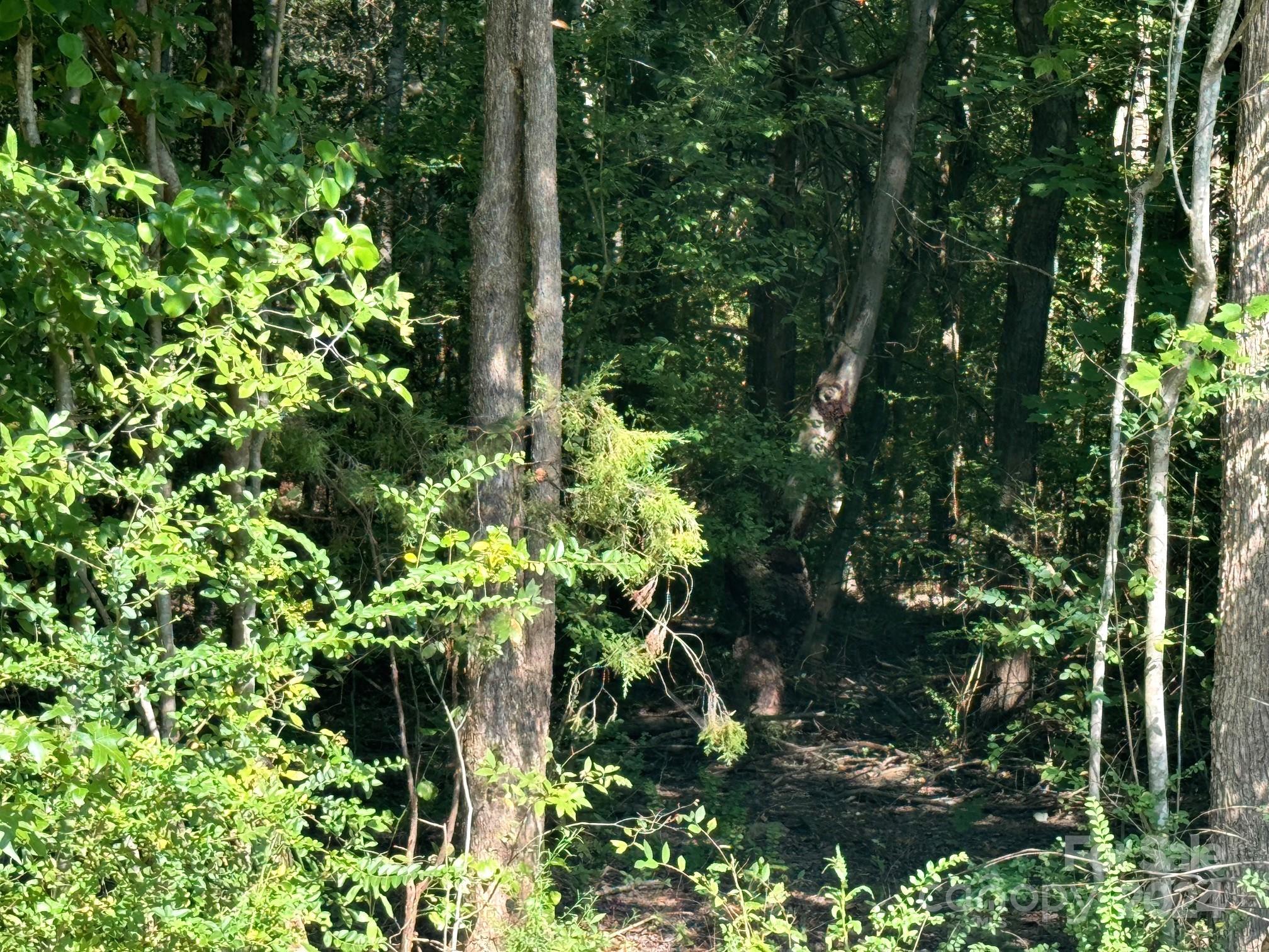 Lot 11 Jenkins Road Marshville, NC 28103 - Photo 2 of 6 Gallery Image 2