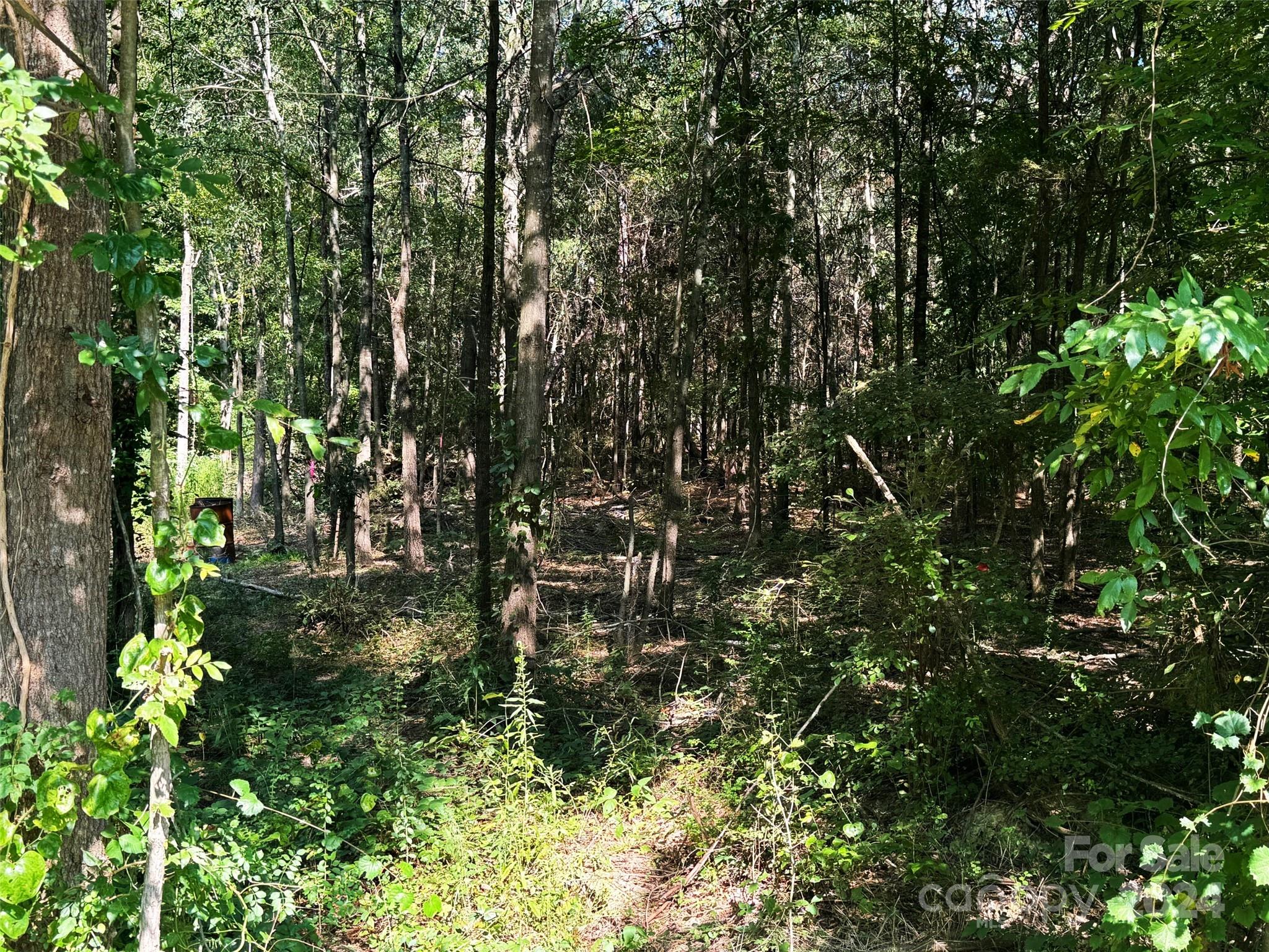Lot 11 Jenkins Road Marshville, NC 28103 - Photo 5 of 6 Gallery Image 5