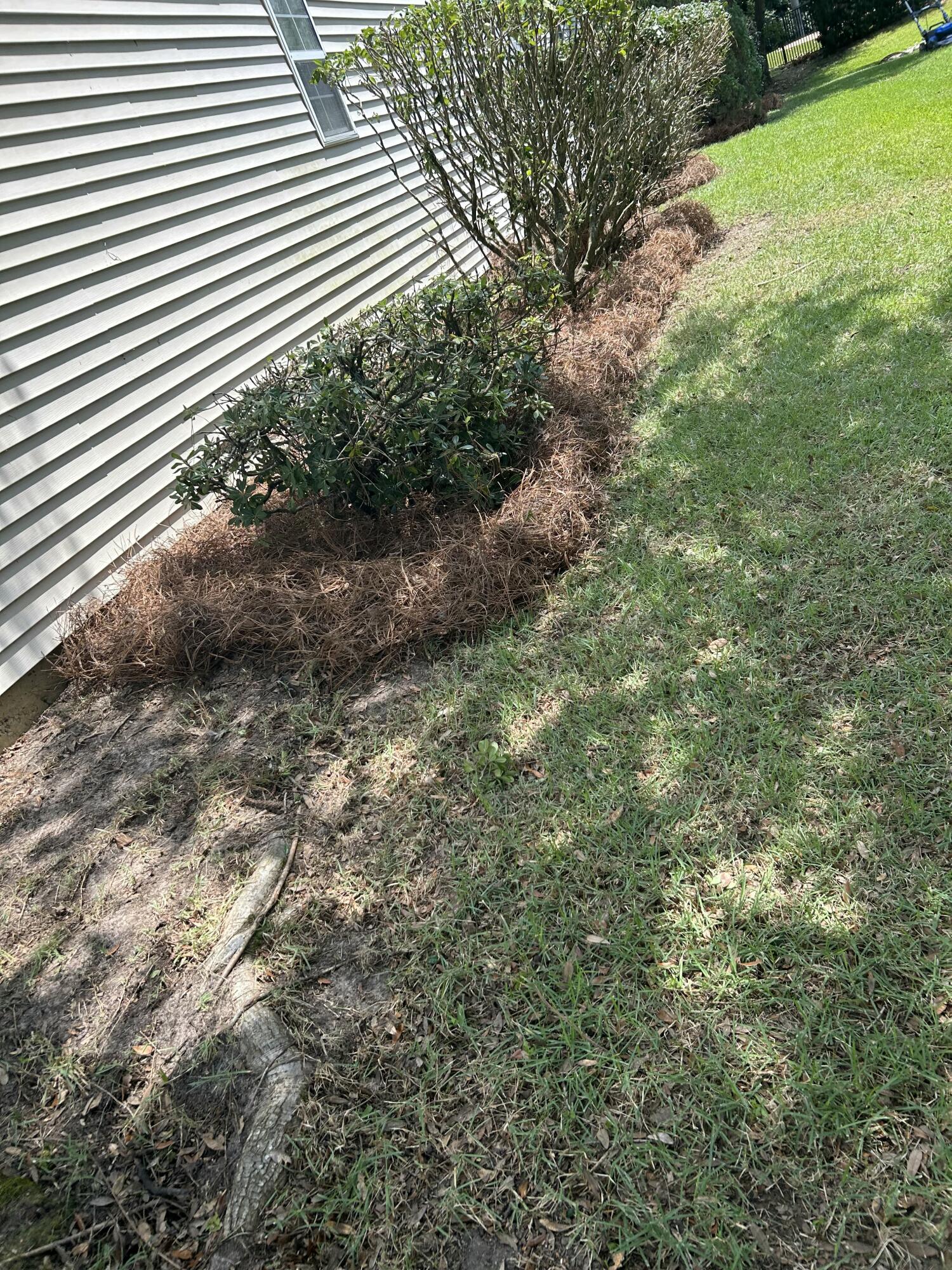 802 Long Drive Road Summerville, SC 29485 - Photo 60 of 84 Landscaping