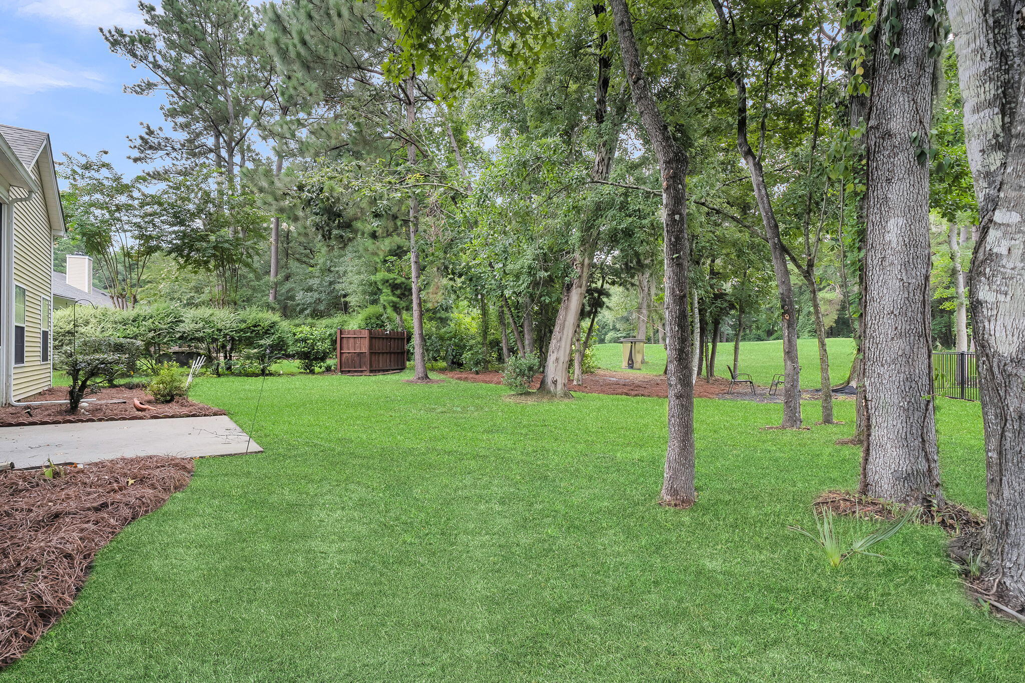 802 Long Drive Road Summerville, SC 29485 - Photo 63 of 84 Back Yard