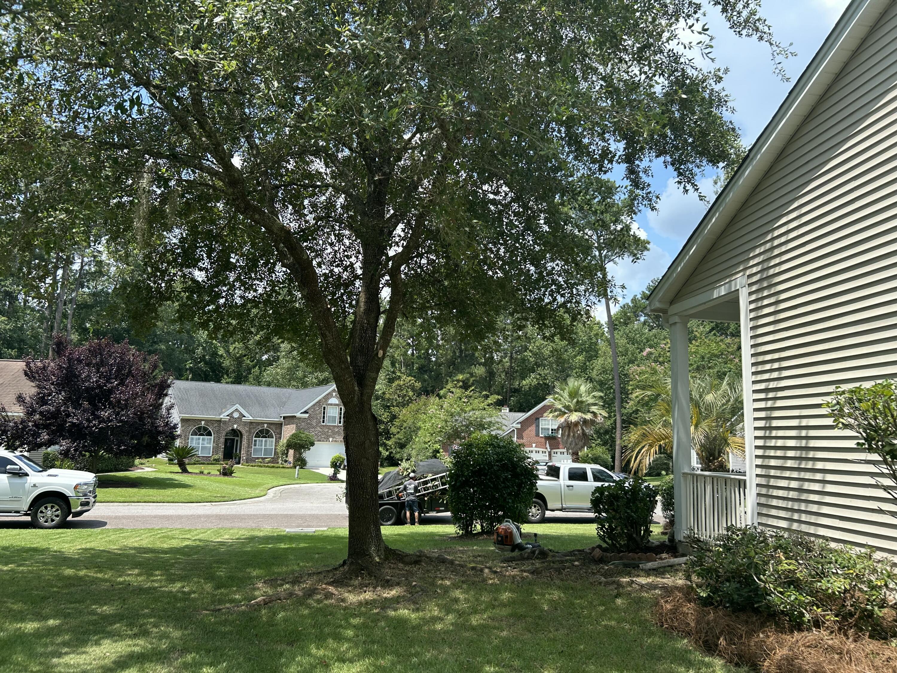 802 Long Drive Road Summerville, SC 29485 - Photo 64 of 84 Landscaping