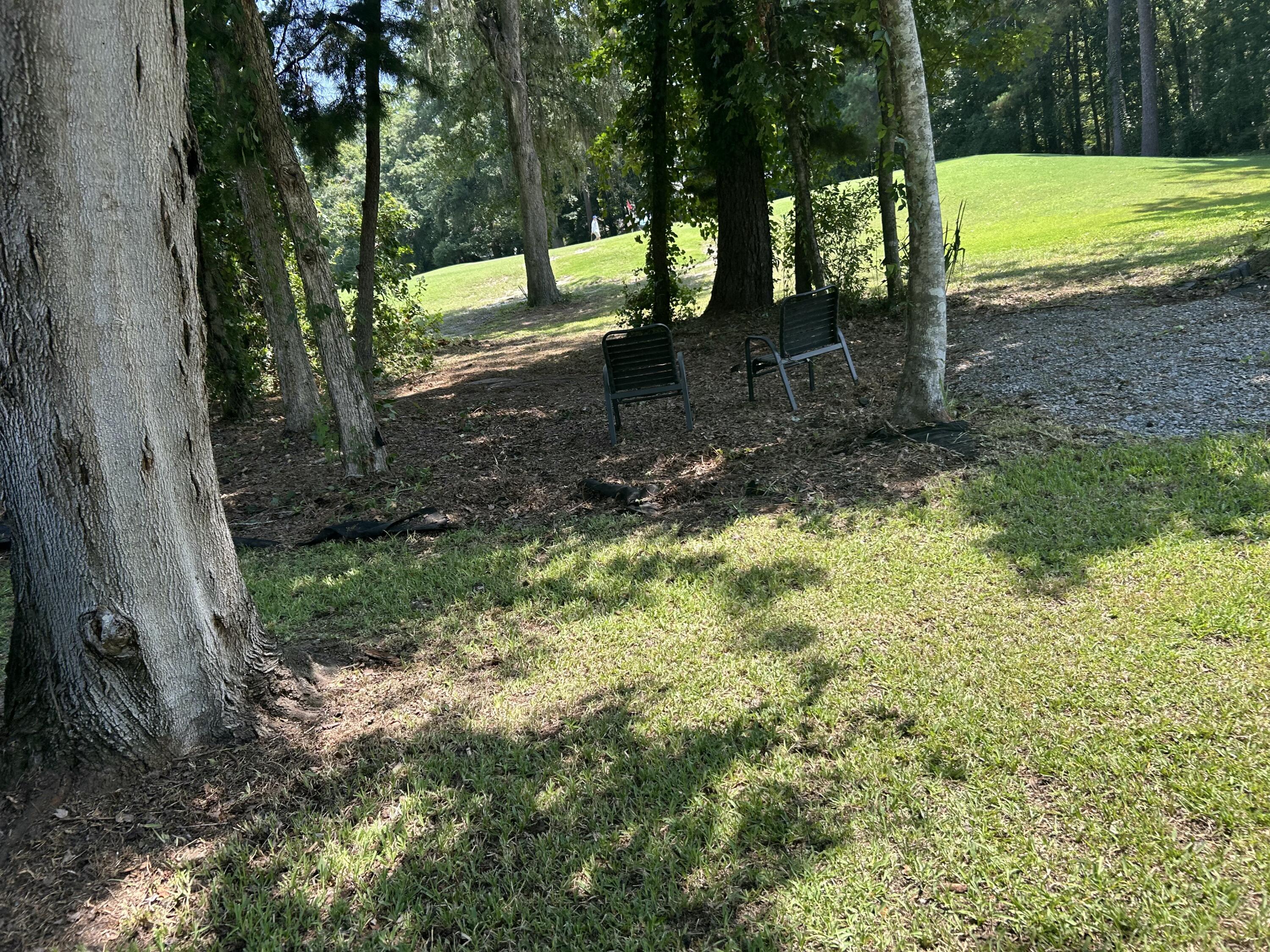802 Long Drive Road Summerville, SC 29485 - Photo 66 of 84 Back Yard green