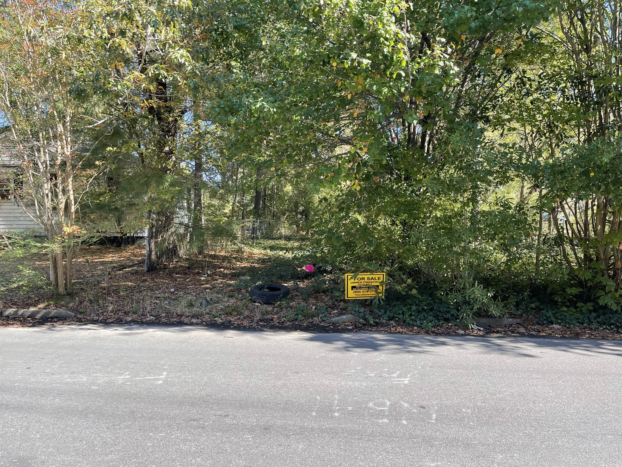 27 Carol Street Other, AR 71602 - Photo 5 of 6 a view of a park with large trees