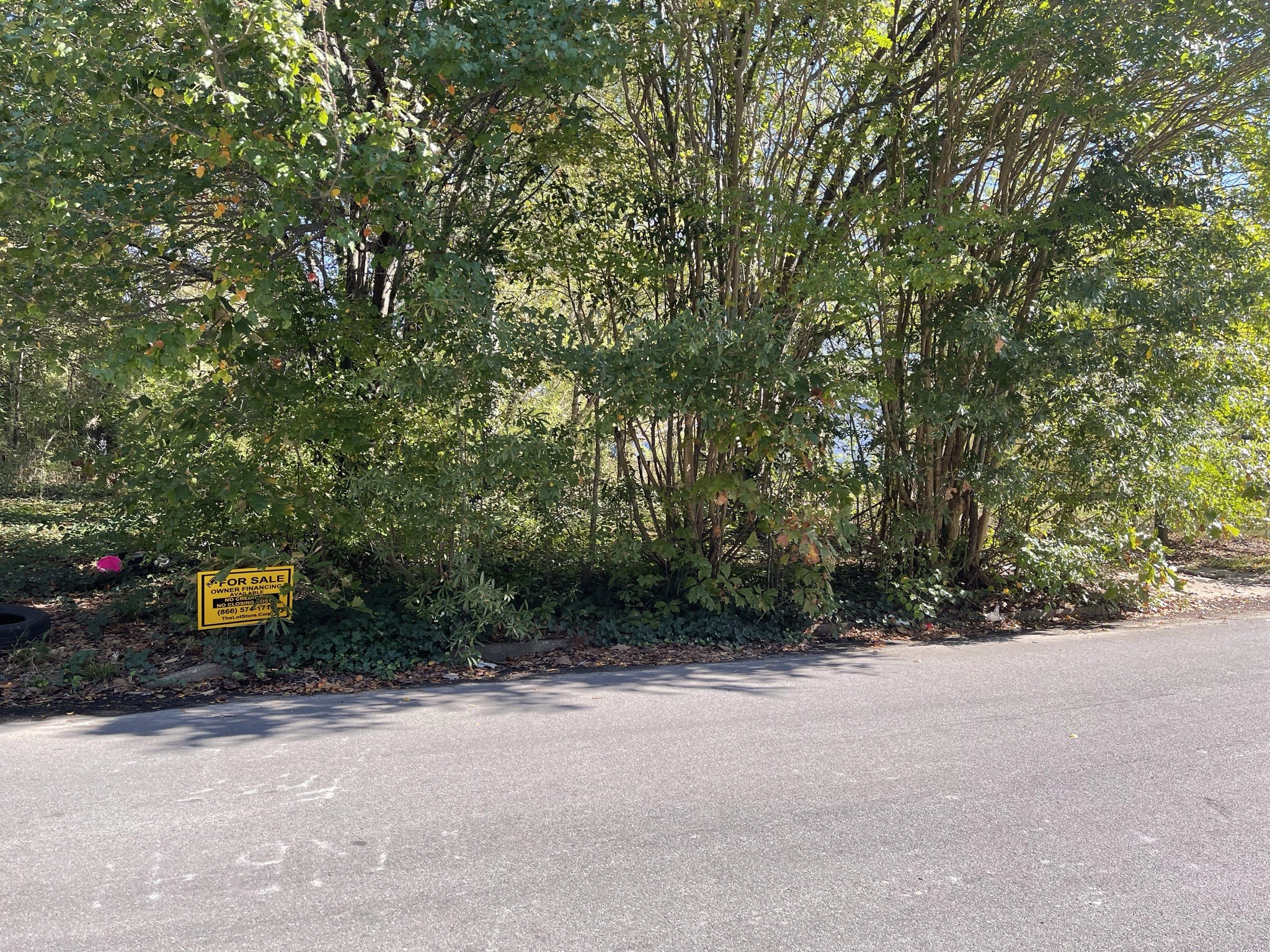 27 Carol Street Other, AR 71602 - Photo 6 of 6 a view of a outdoor space