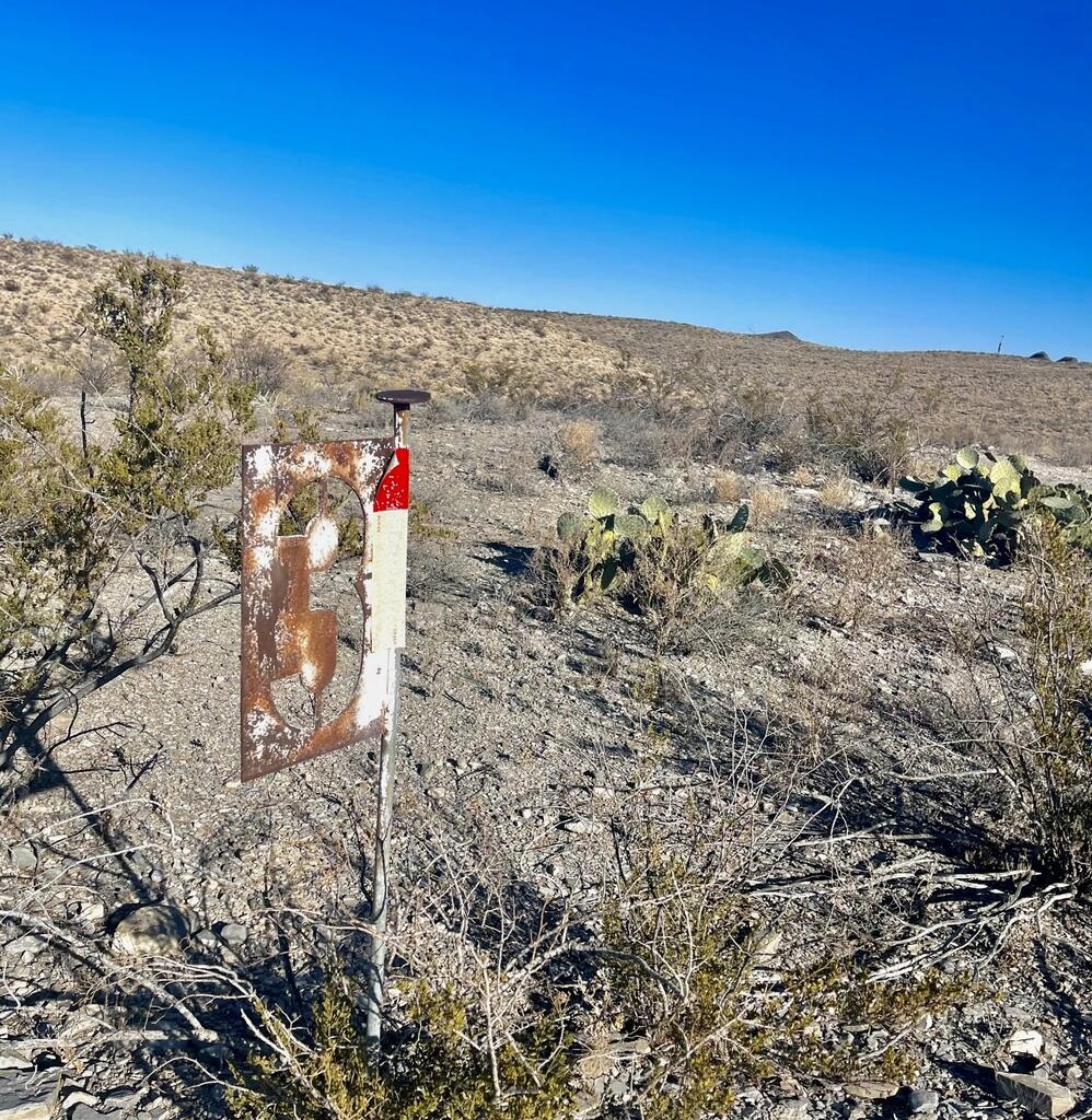 0 East Cedar Springs Road Alpine, TX 79830 - Photo 6 of 8 Gallery Image 6