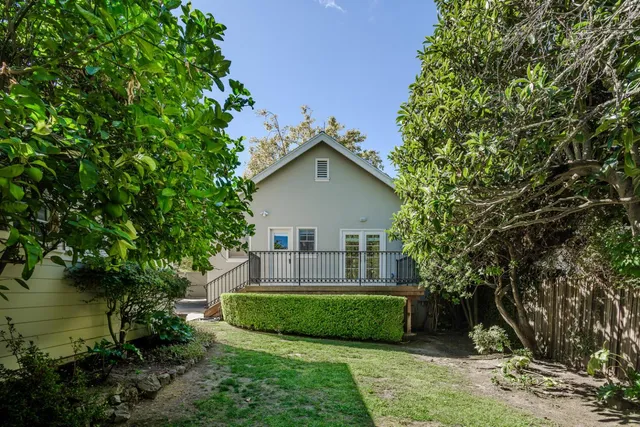 a view of a yard with plants and a tree