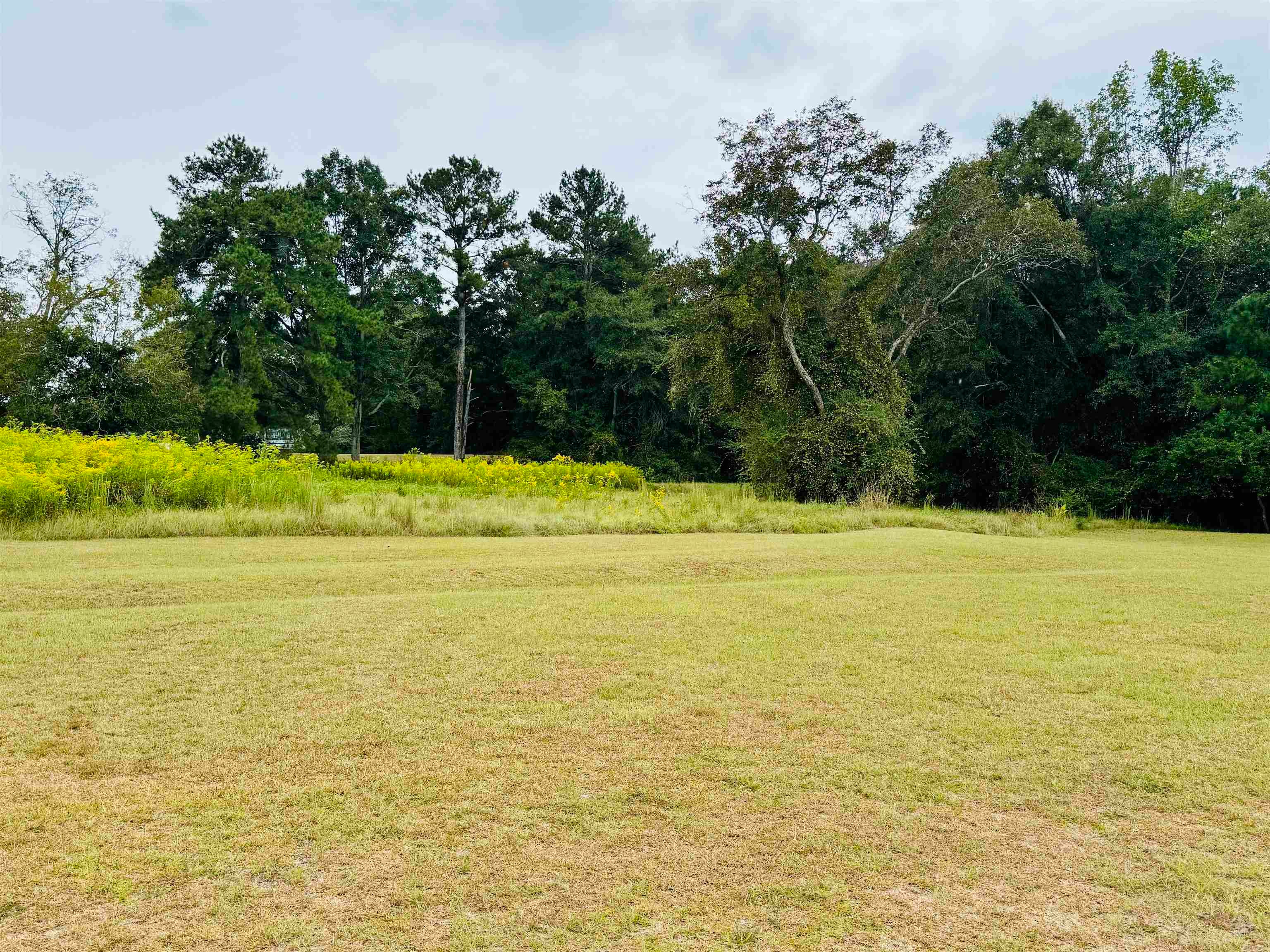 22737 Fleeta Road Opp, AL 36467 - Photo 14 of 37 Gallery Image 14