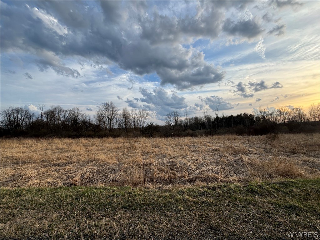 V/l Stinson Road Arcade, NY 14009 - Photo 1 of 1 Gallery Image 1