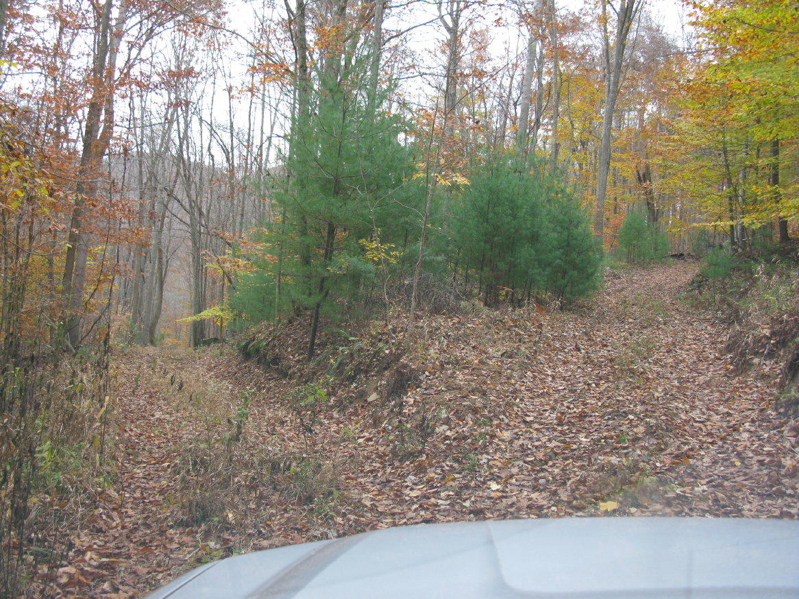 Bluestone River Road Jumping Branch, WV 25969 - Photo 7 of 14 Gallery Image 7