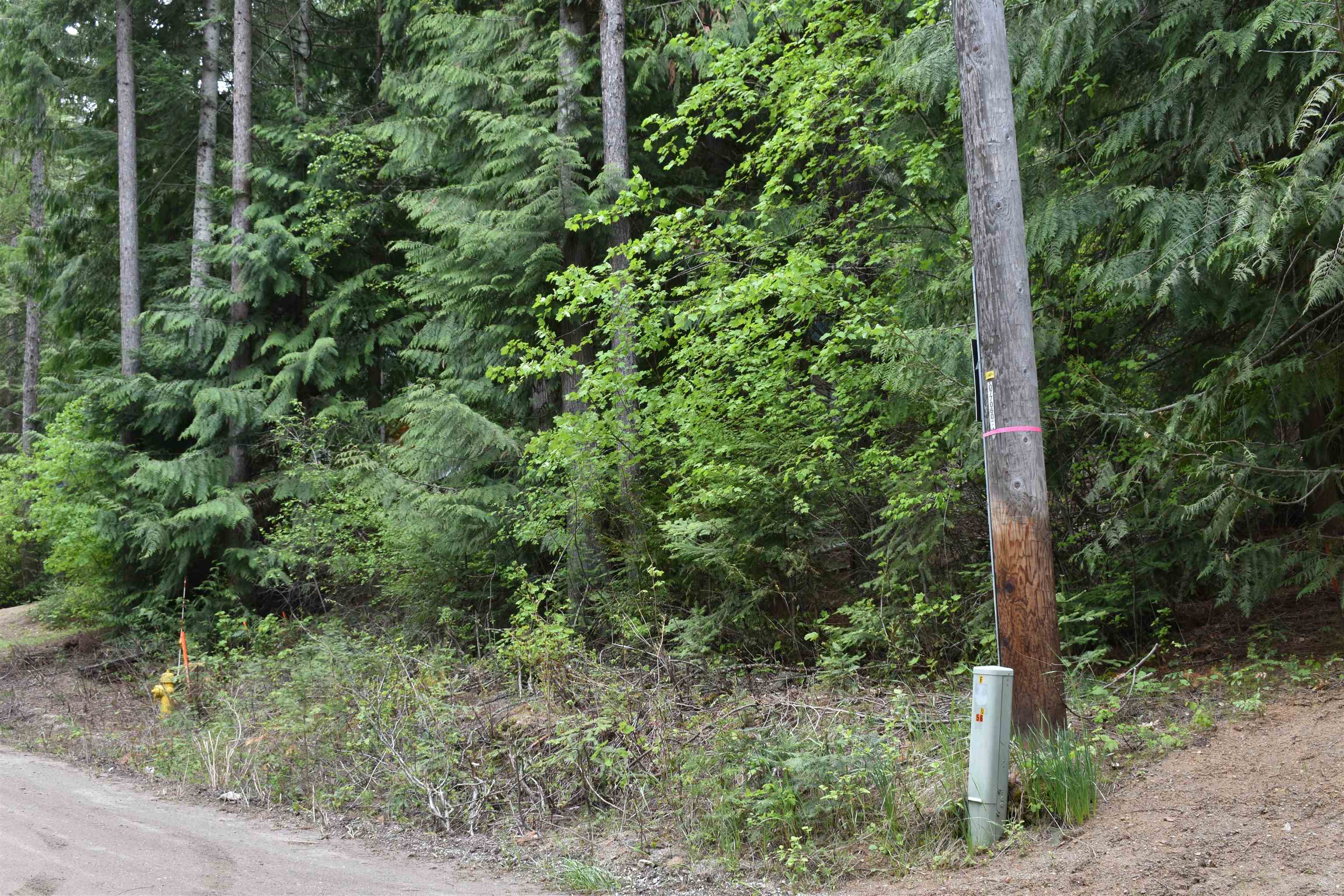 4081 Tamarack Bay Road Loon Lake, WA 99148 - Photo 1 of 29 Gallery Image 1