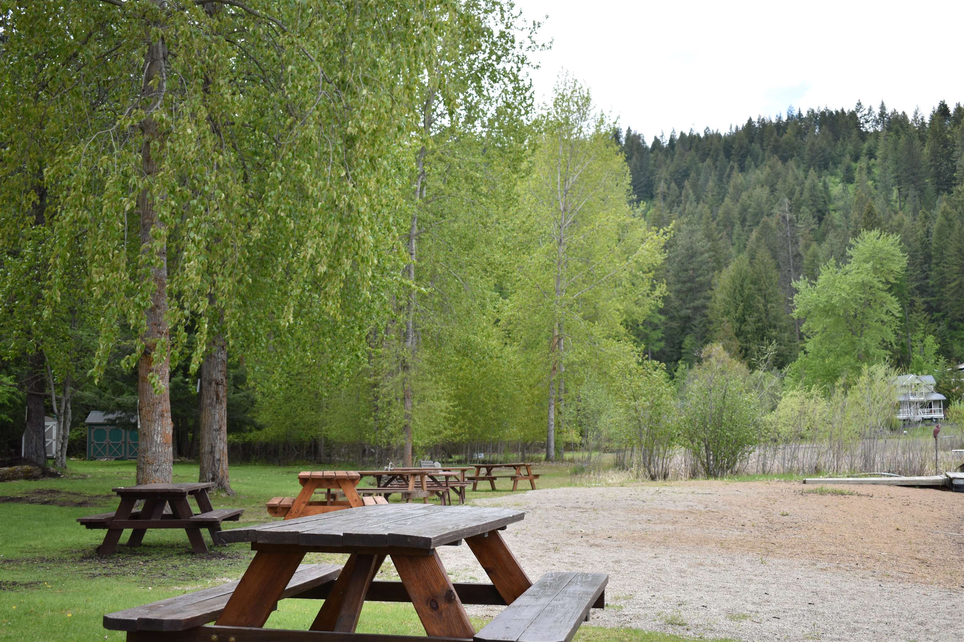 4081 Tamarack Bay Road Loon Lake, WA 99148 - Photo 12 of 29 Gallery Image 12