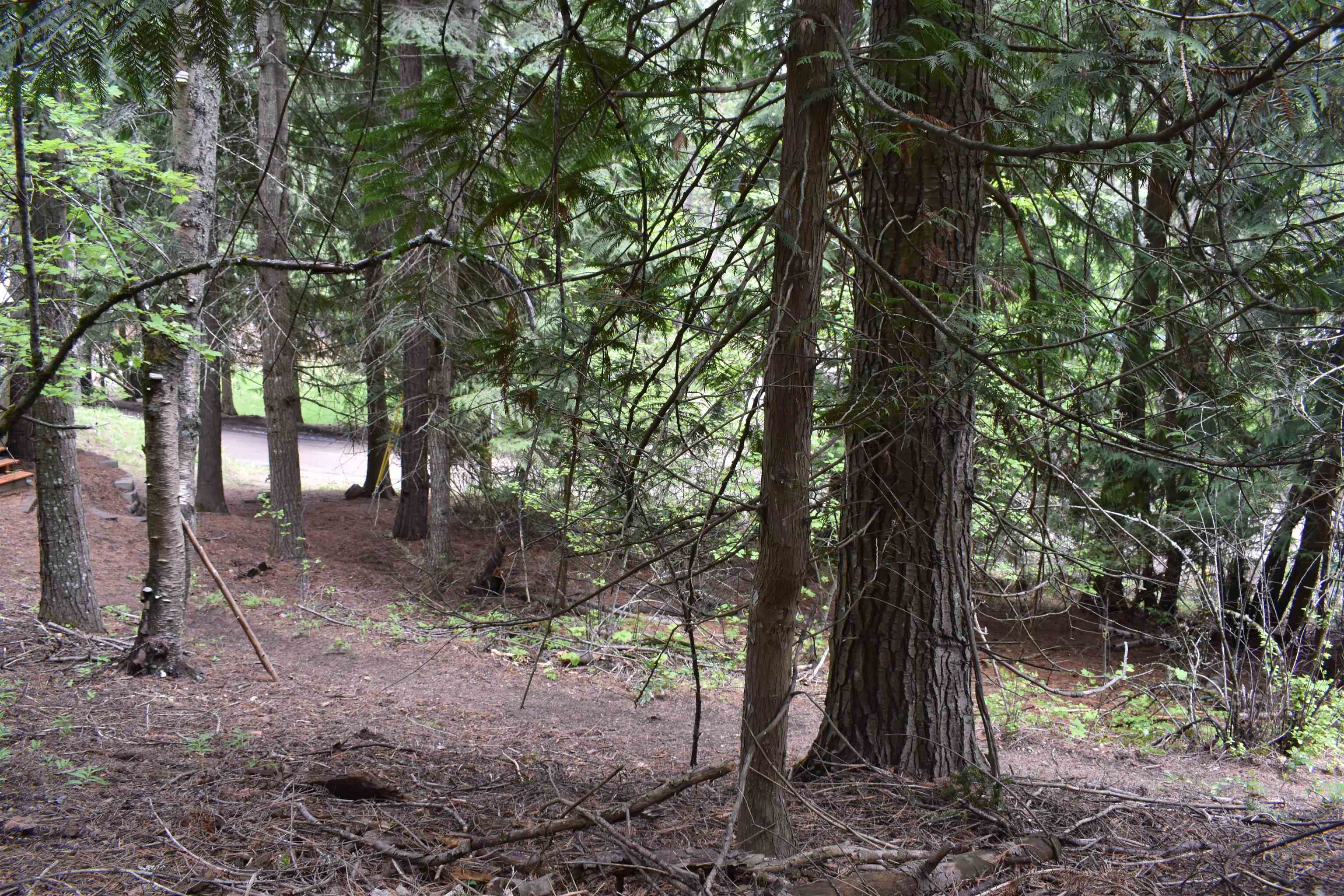 4081 Tamarack Bay Road Loon Lake, WA 99148 - Photo 14 of 29 Gallery Image 14