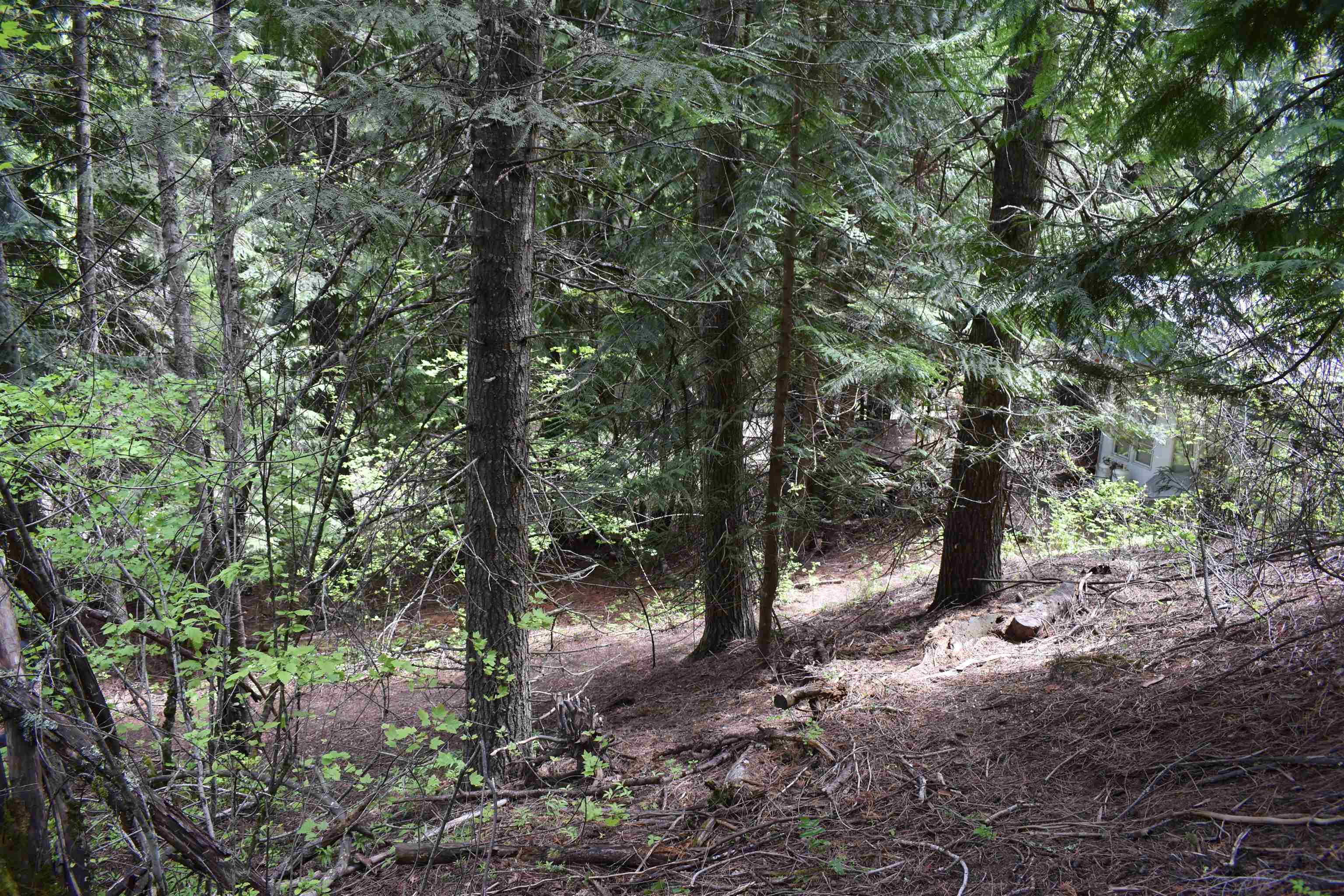 4081 Tamarack Bay Road Loon Lake, WA 99148 - Photo 15 of 29 Gallery Image 15