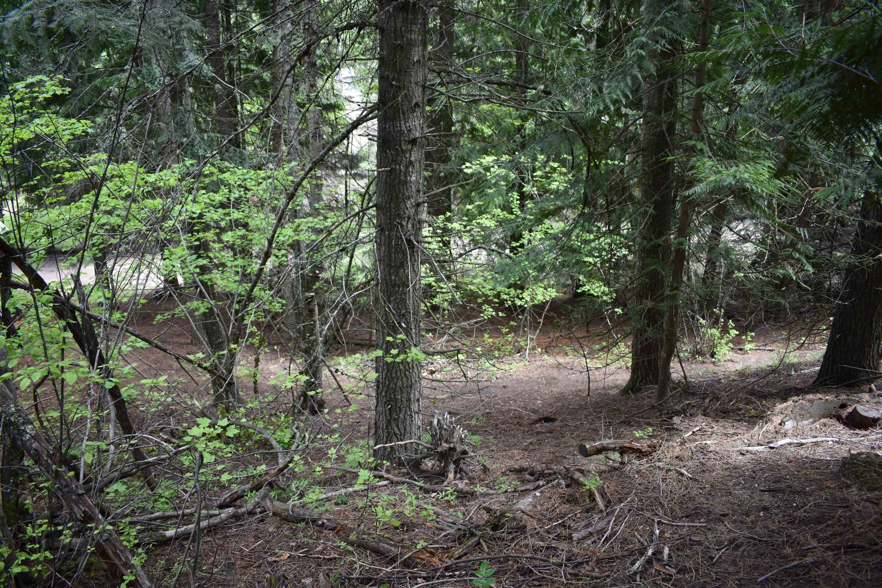 4081 Tamarack Bay Road Loon Lake, WA 99148 - Photo 16 of 29 Gallery Image 16