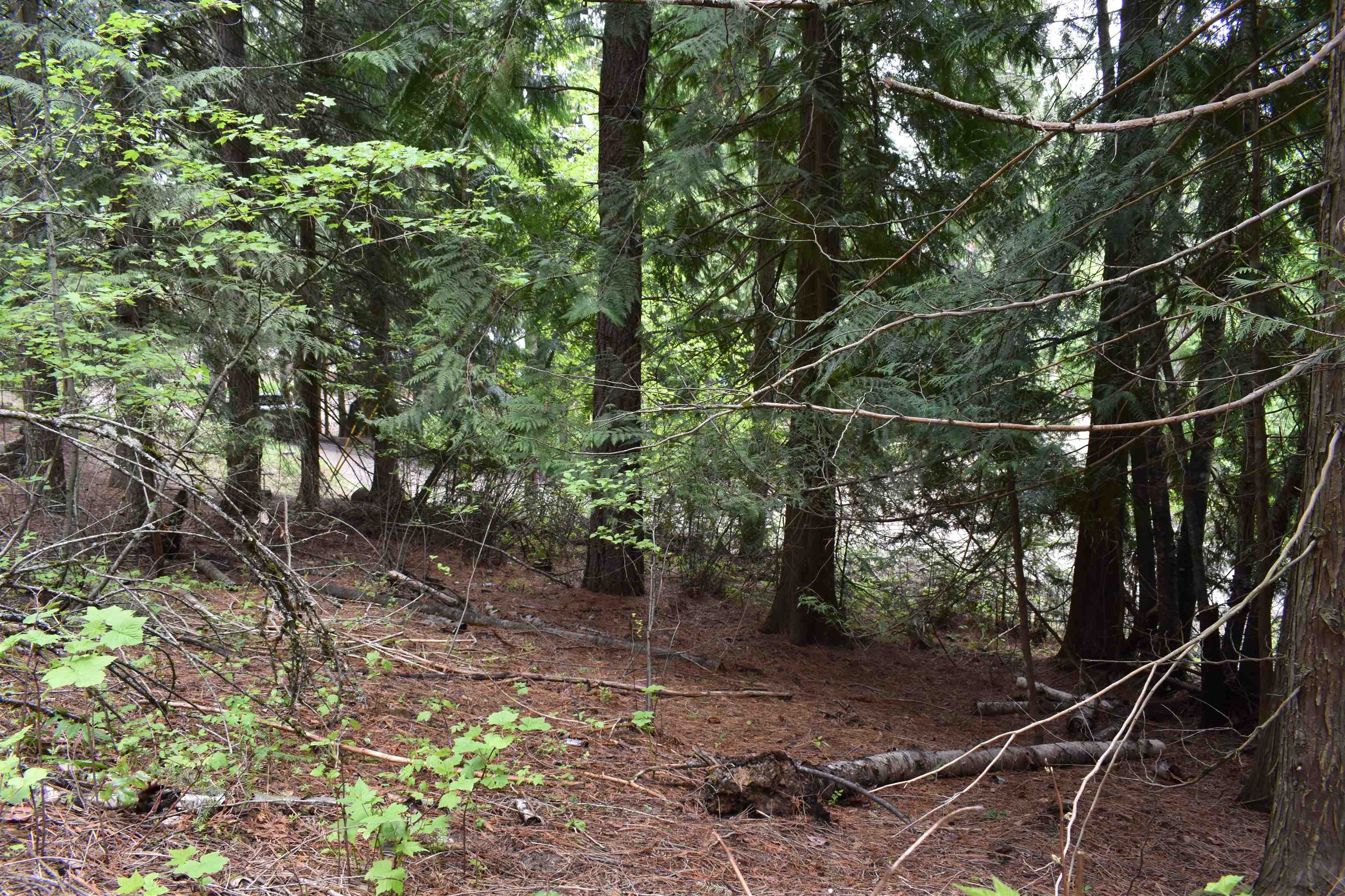 4081 Tamarack Bay Road Loon Lake, WA 99148 - Photo 17 of 29 Gallery Image 17