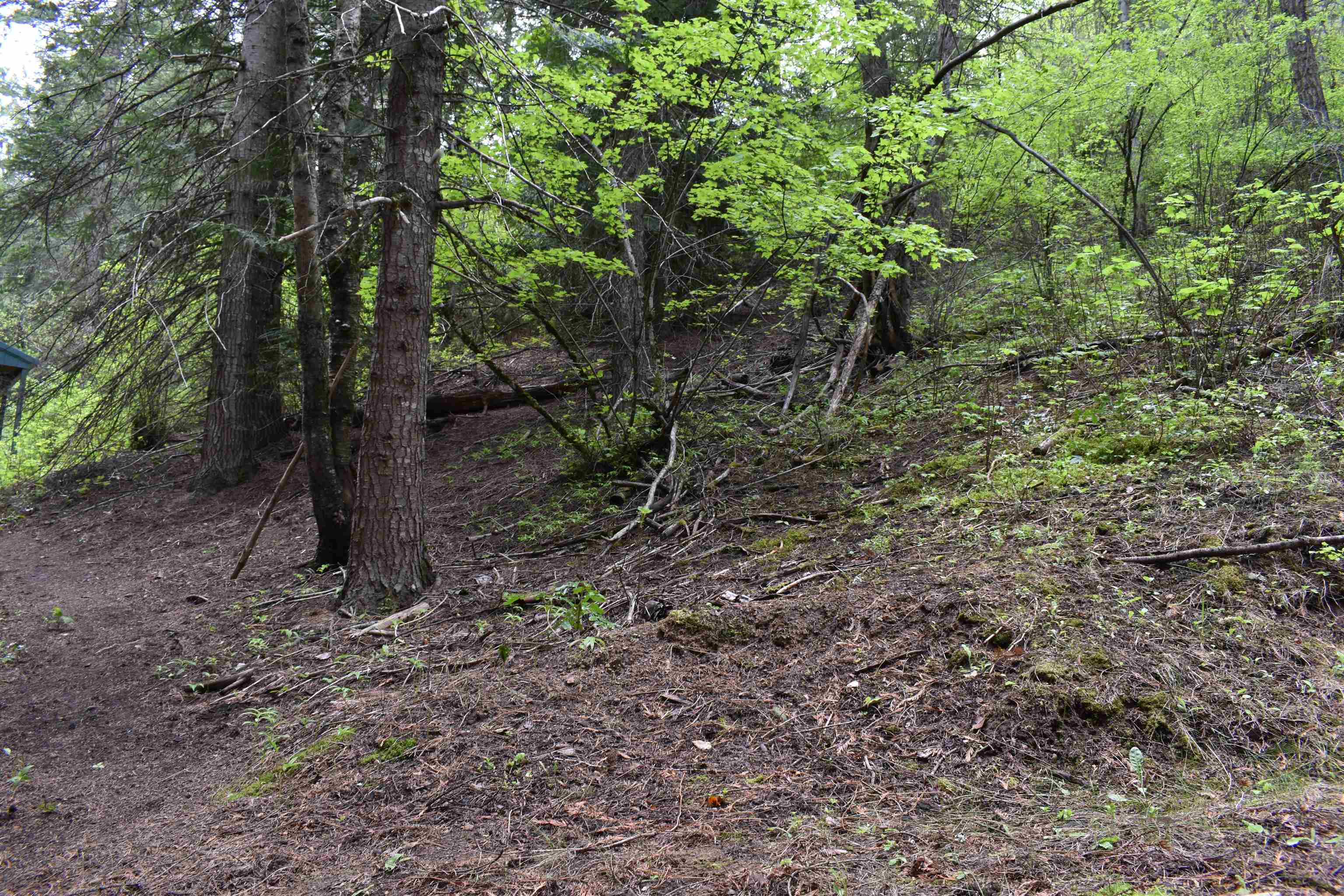 4081 Tamarack Bay Road Loon Lake, WA 99148 - Photo 20 of 29 Gallery Image 20