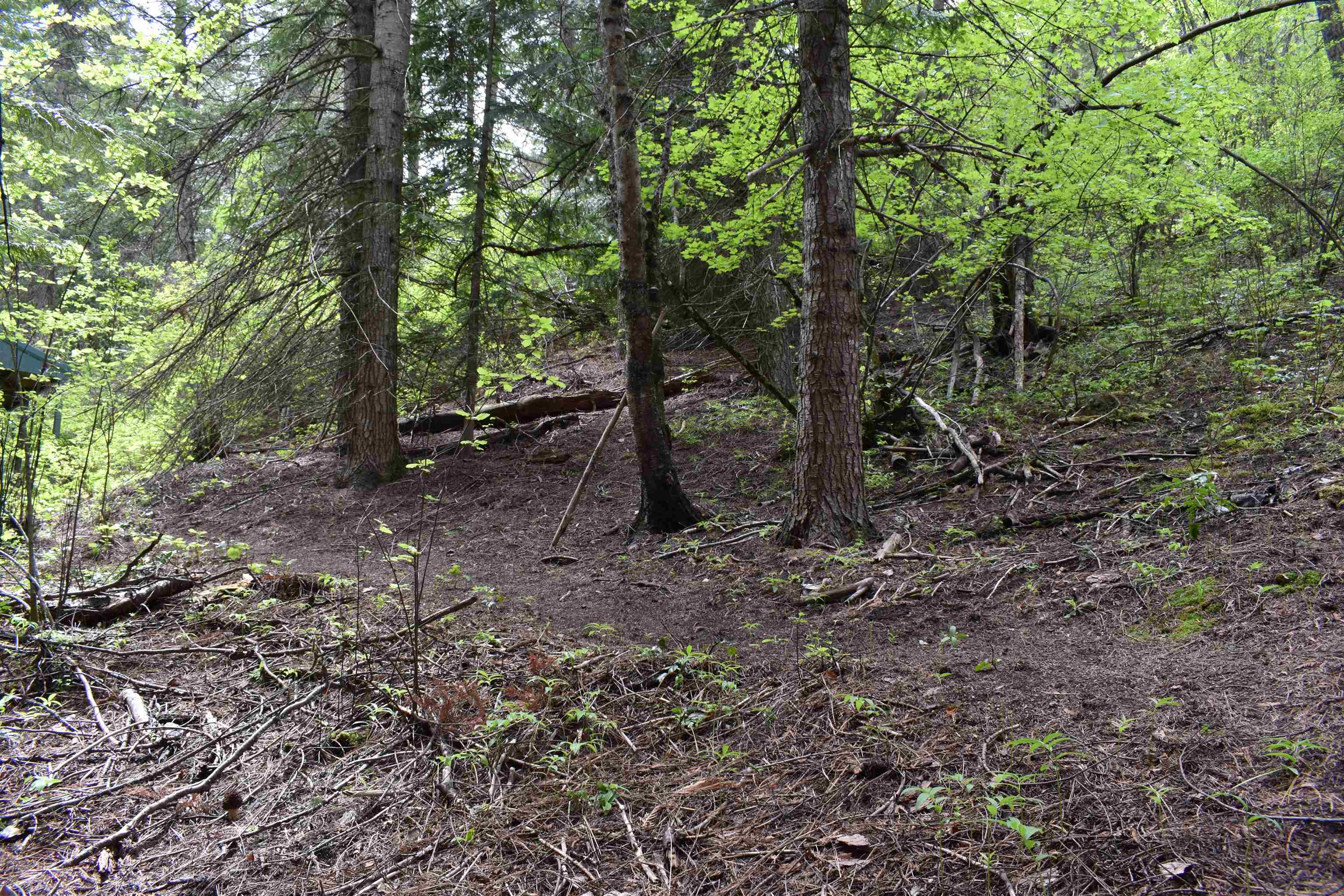 4081 Tamarack Bay Road Loon Lake, WA 99148 - Photo 22 of 29 Gallery Image 22