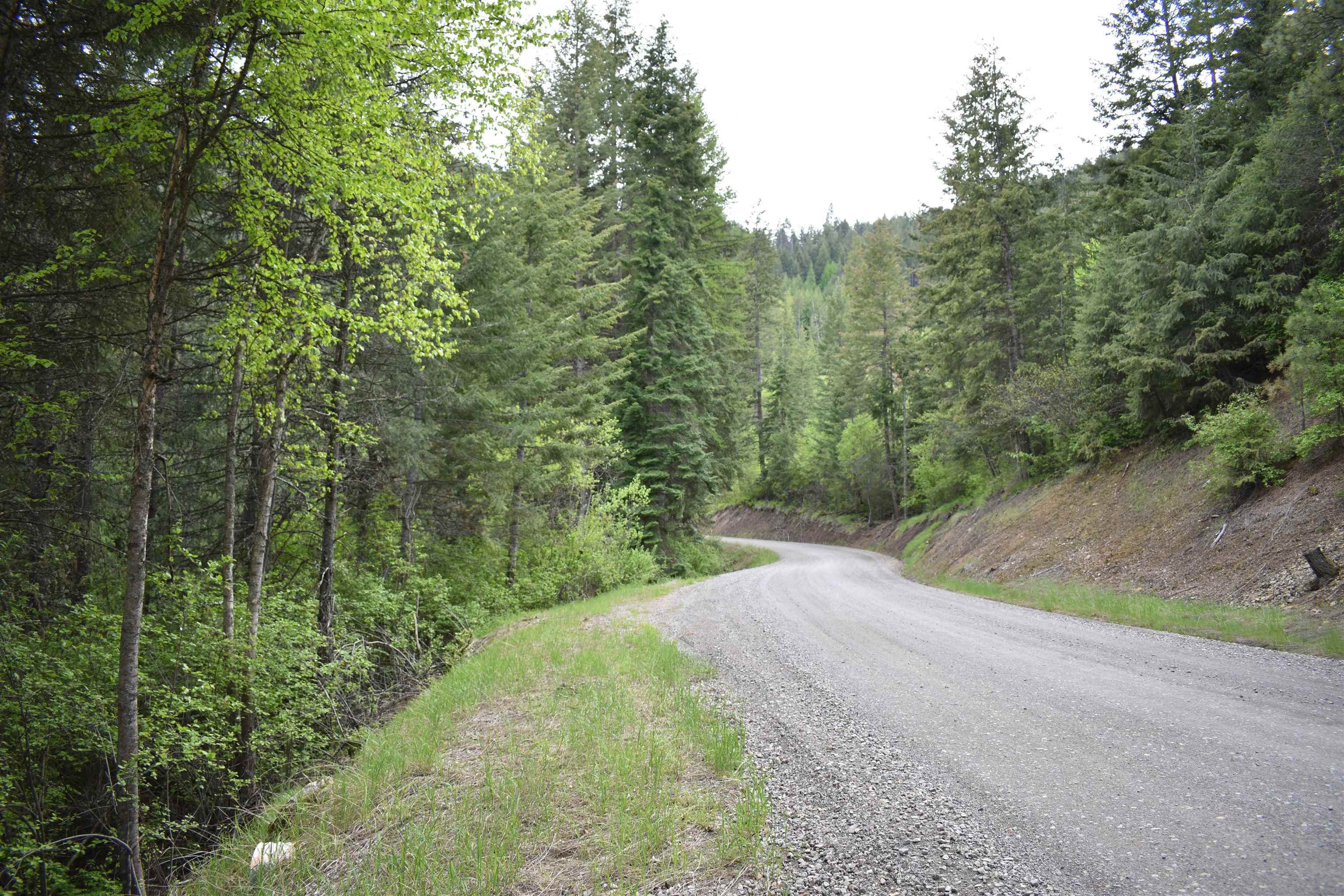 4081 Tamarack Bay Road Loon Lake, WA 99148 - Photo 26 of 29 Gallery Image 26