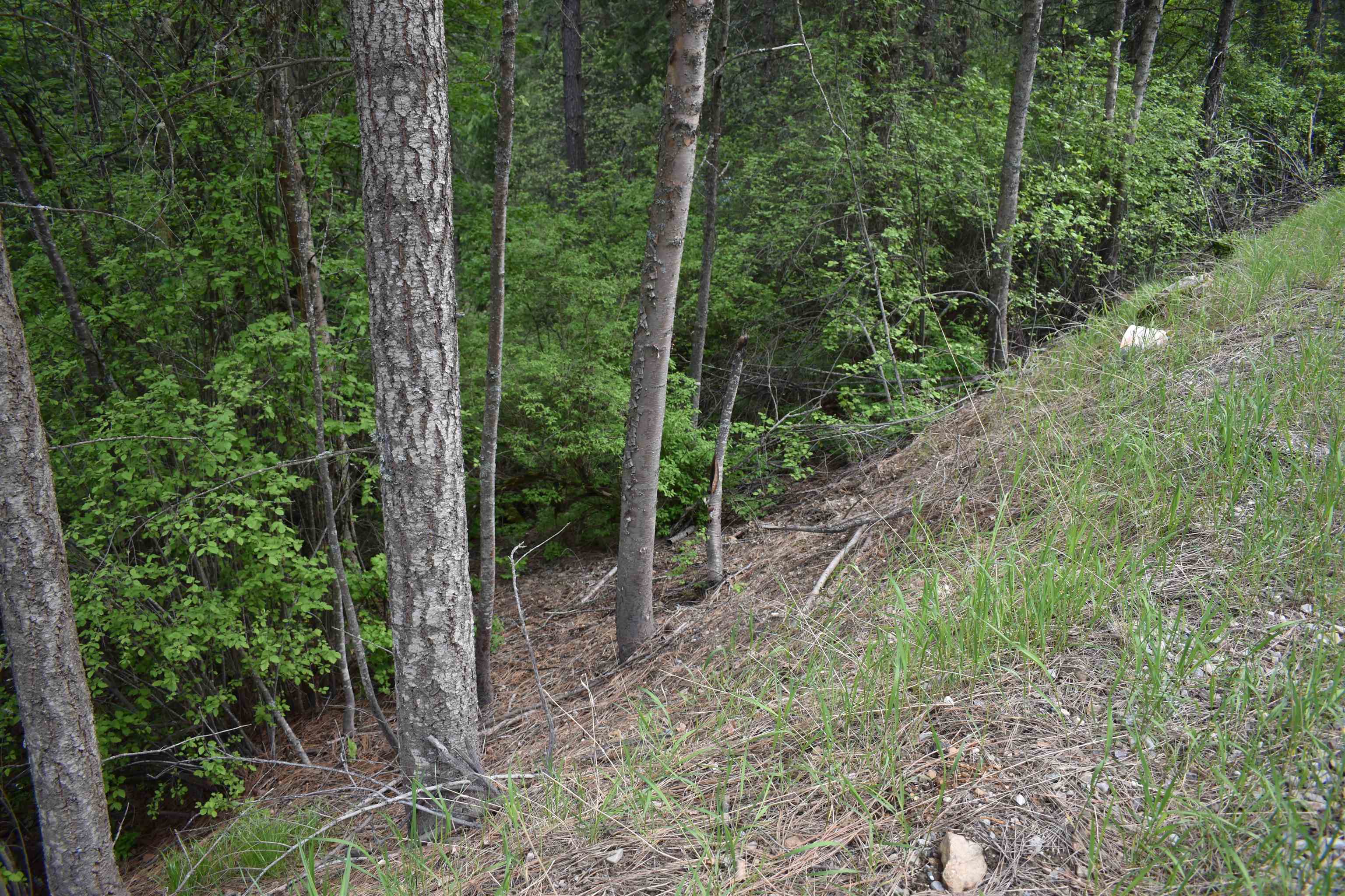 4081 Tamarack Bay Road Loon Lake, WA 99148 - Photo 27 of 29 Gallery Image 27