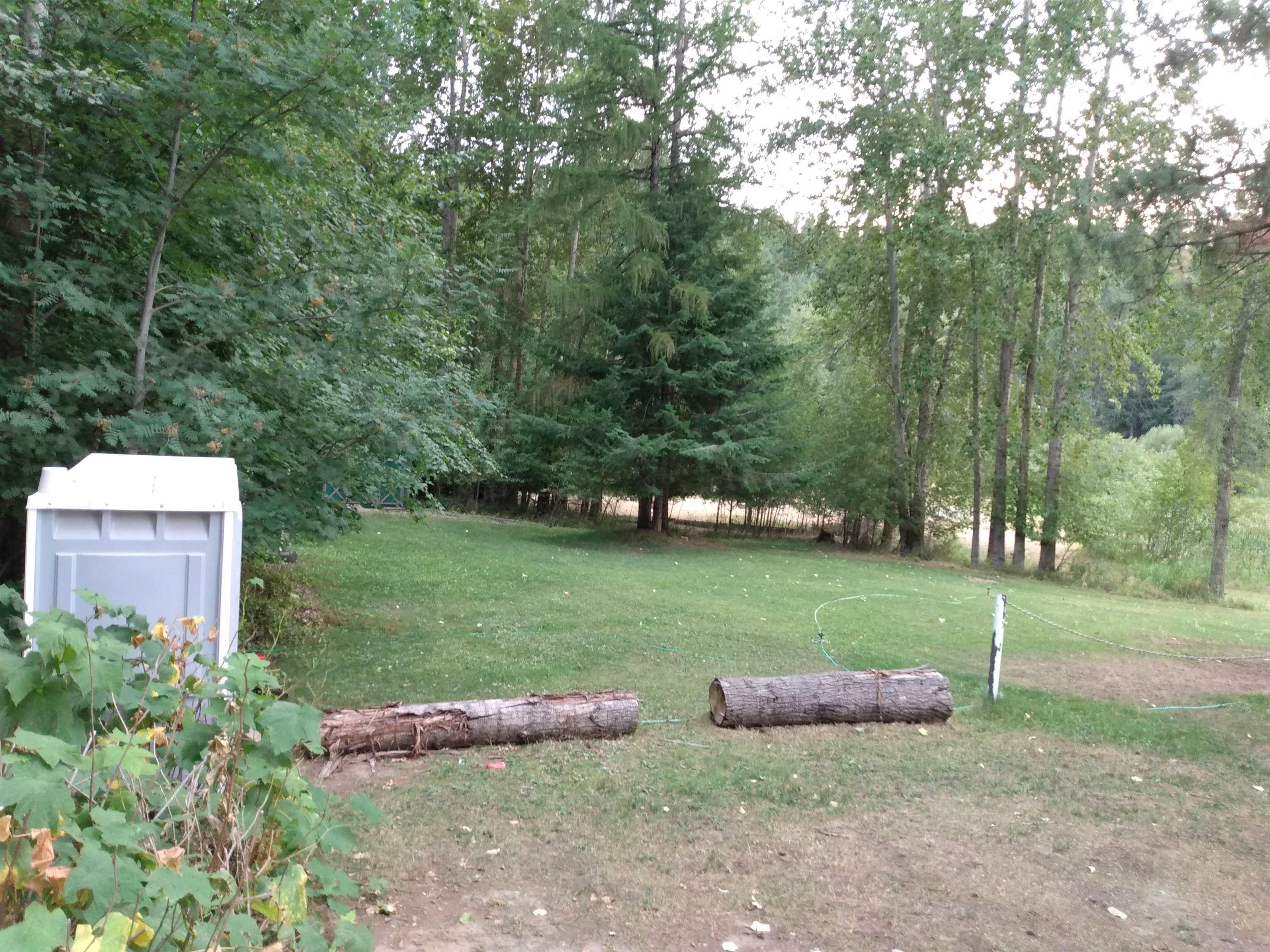 4081 Tamarack Bay Road Loon Lake, WA 99148 - Photo 6 of 29 Gallery Image 6
