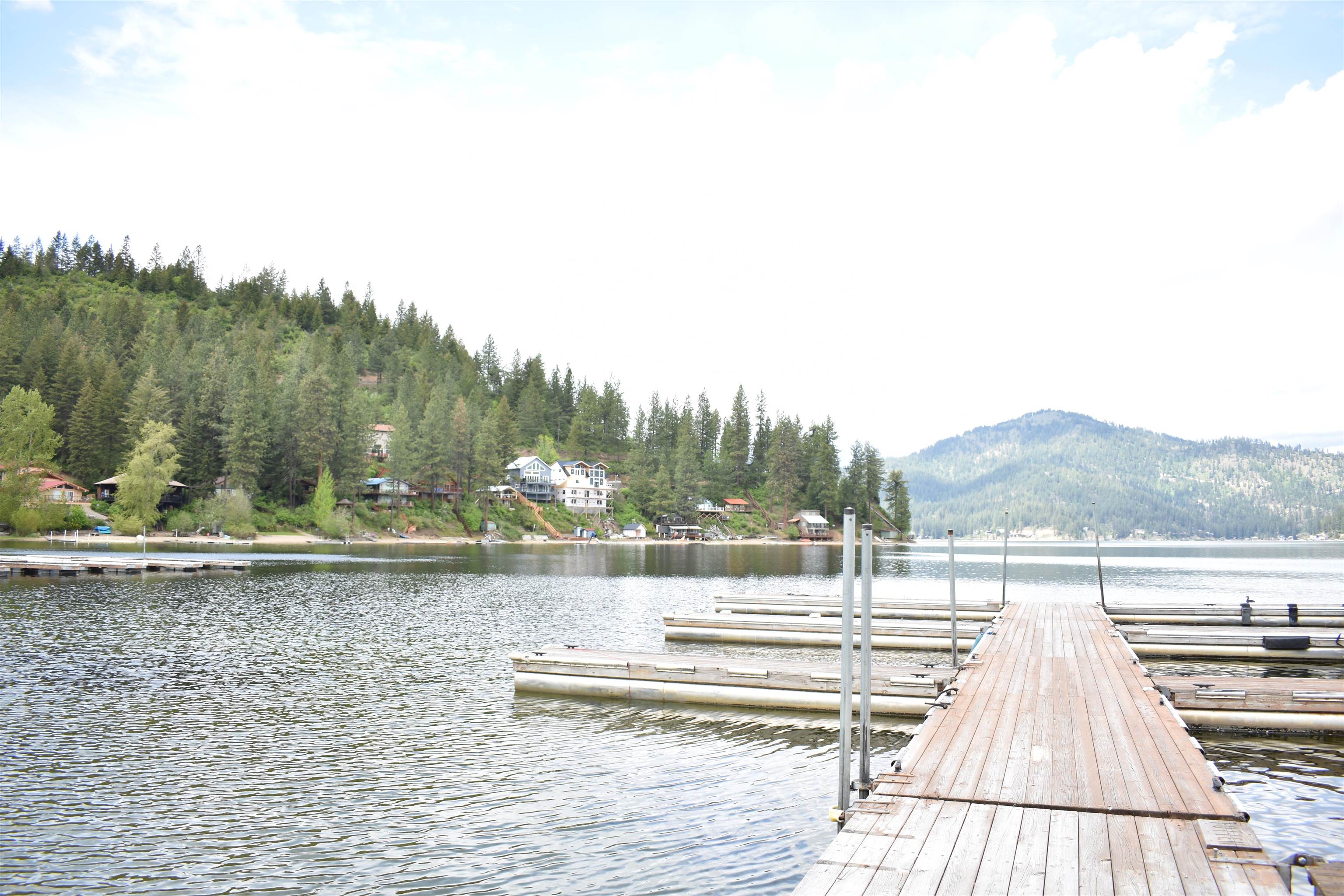 4081 Tamarack Bay Road Loon Lake, WA 99148 - Photo 10 of 29 Gallery Image 10