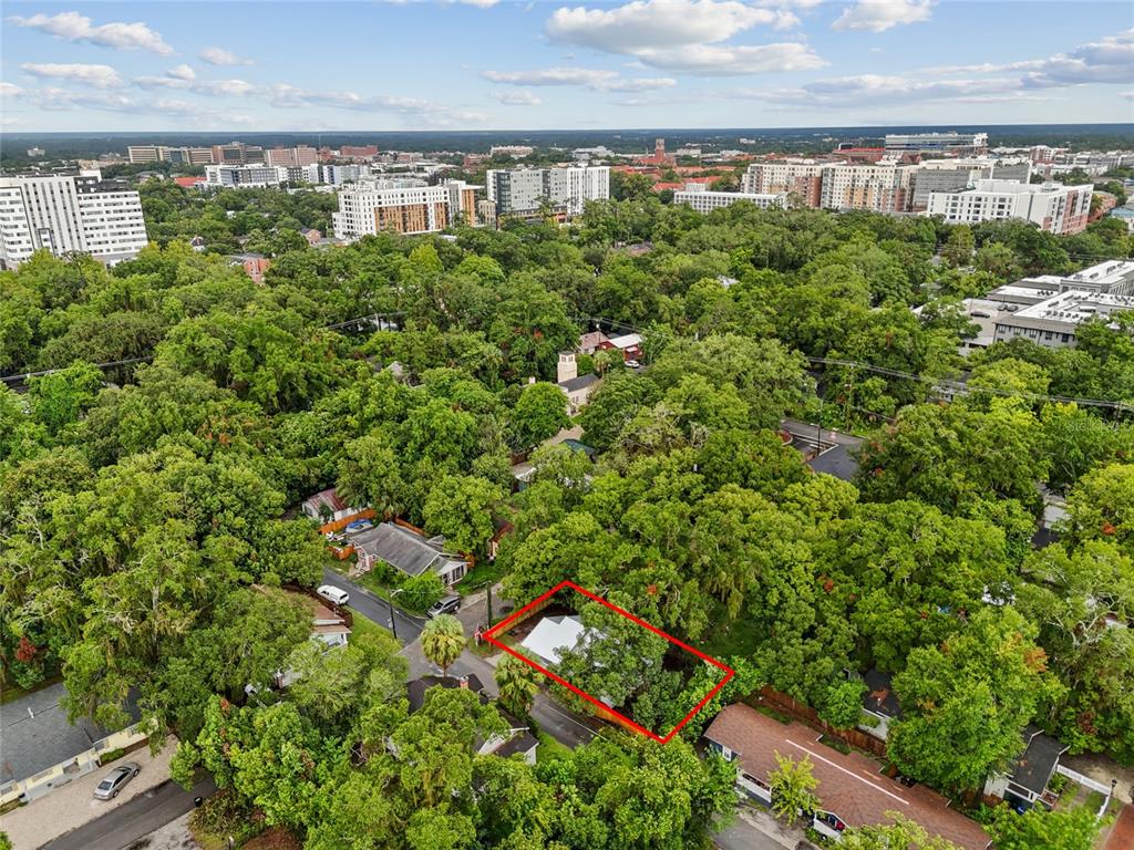 902 Northwest 4th Place Gainesville, FL 32601 - Photo 32 of 33 a view of a garden
