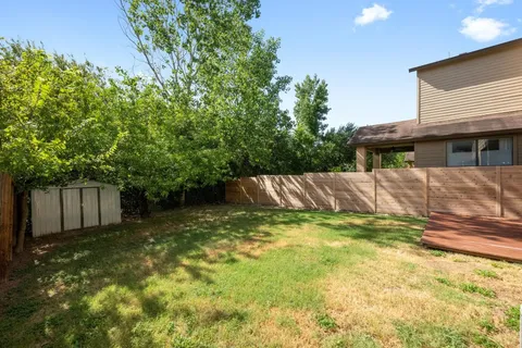 a view of a backyard with plants and wooden fence