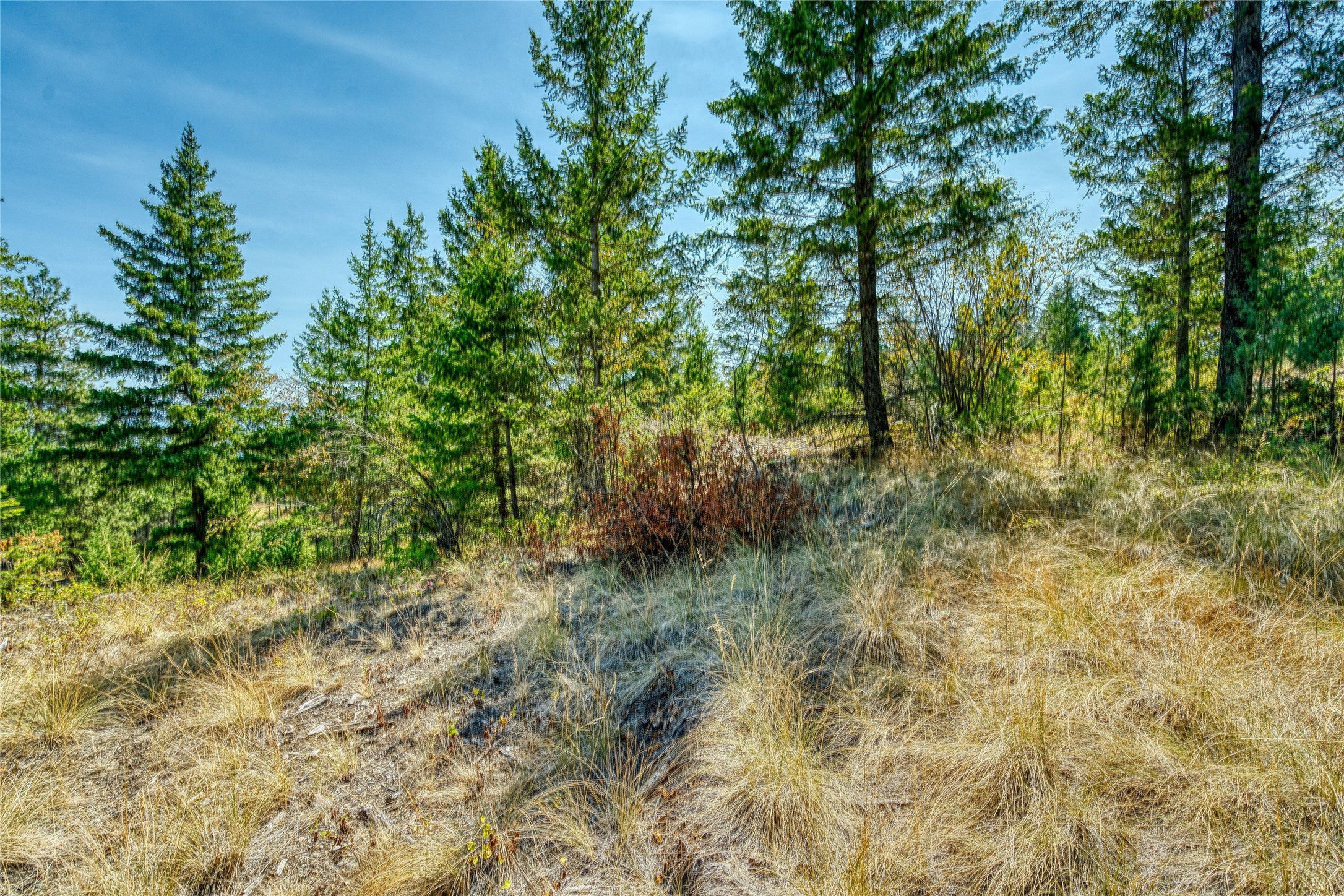 535 Bear Mountain Road Lakeside, MT 59922 - Photo 35 of 39 Gallery Image 35
