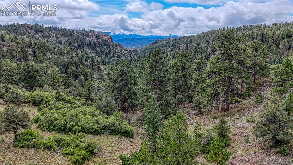 62 Cheyenne Road Florissant, CO 80816 - Photo 45 of 50