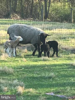 $1,460,000 | 21901 New Hampshire Avenue, Brookeville, MD 20833