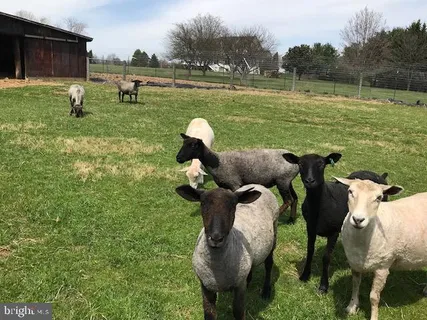 $1,460,000 | 21901 New Hampshire Avenue, Brookeville, MD 20833