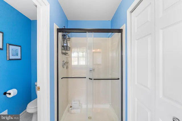 a bathroom with a shower and a toilet