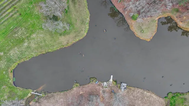 $1,150,000 | 1548 Highway 43, Pelahatchie, MS 39145