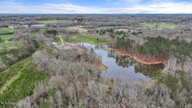 $1,150,000 | 1548 Highway 43, Pelahatchie, MS 39145