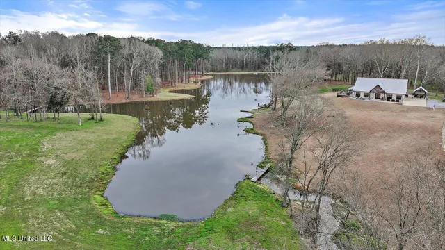$1,150,000 | 1548 Highway 43, Pelahatchie, MS 39145
