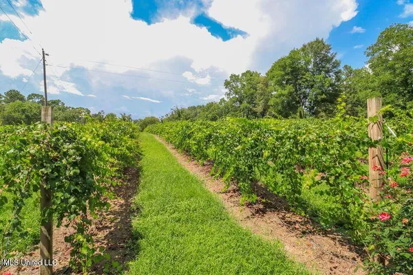 $999,900 | 1548 Highway 43, Pelahatchie, MS 39145